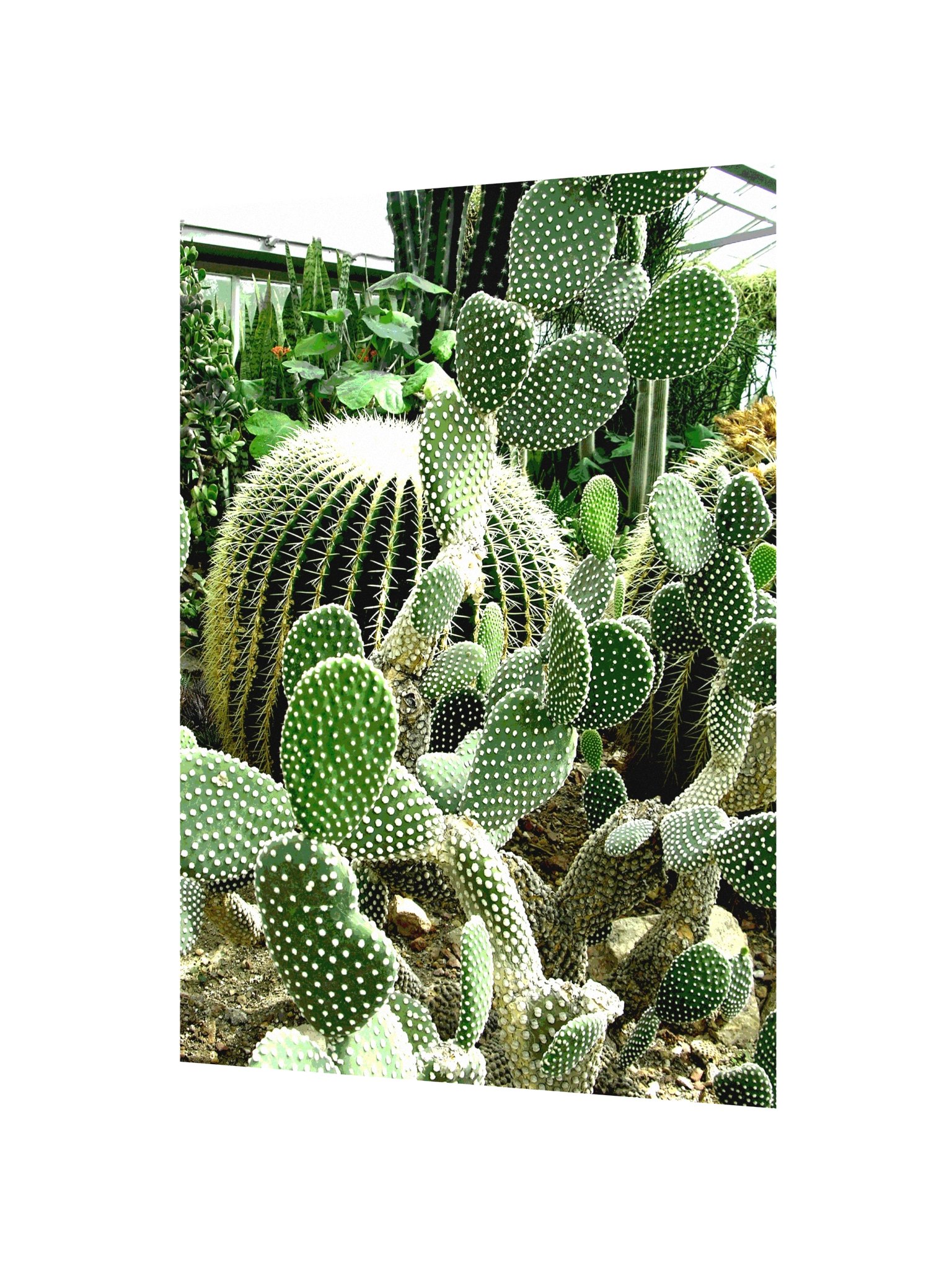 Cactus Tower 61d Poster product image (2)