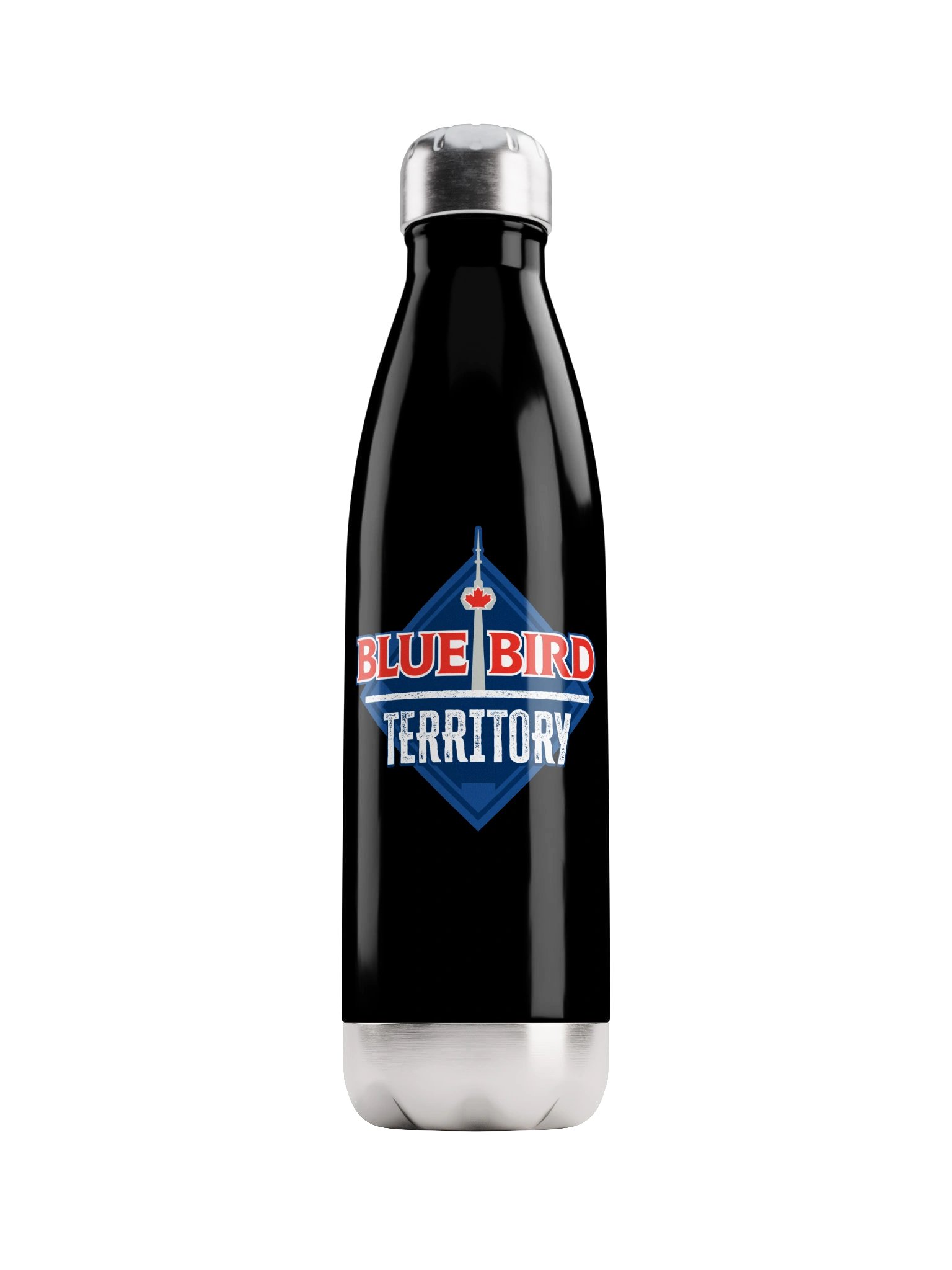 Stainless Steel Water Bottle product image (1)