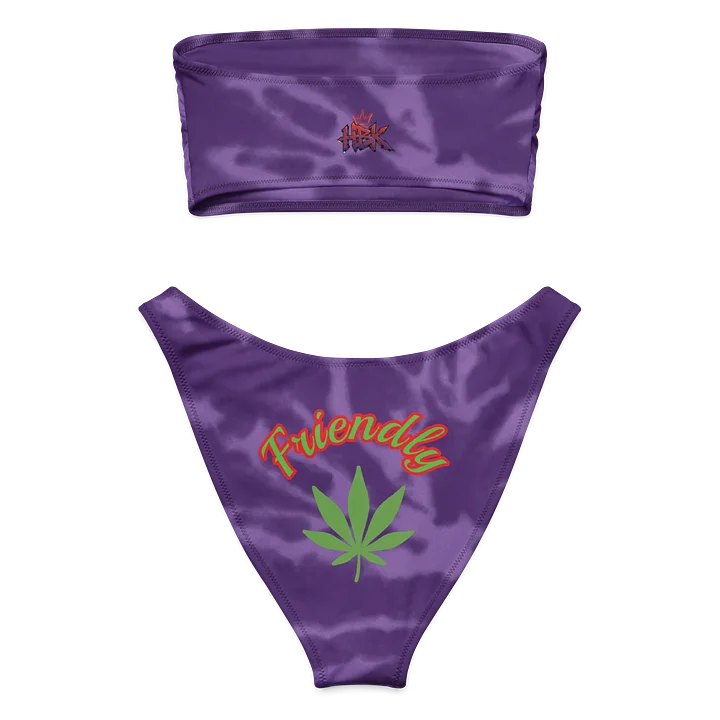 420 Bandeau Bikini product image (2)