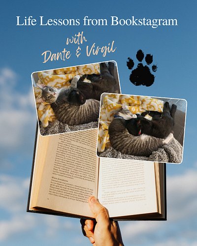 Life Lessons from Bookstagram
🐈‍⬛with Dante & Virgil🐈

Cats and romance books have this in common: “only one bed” always mean...