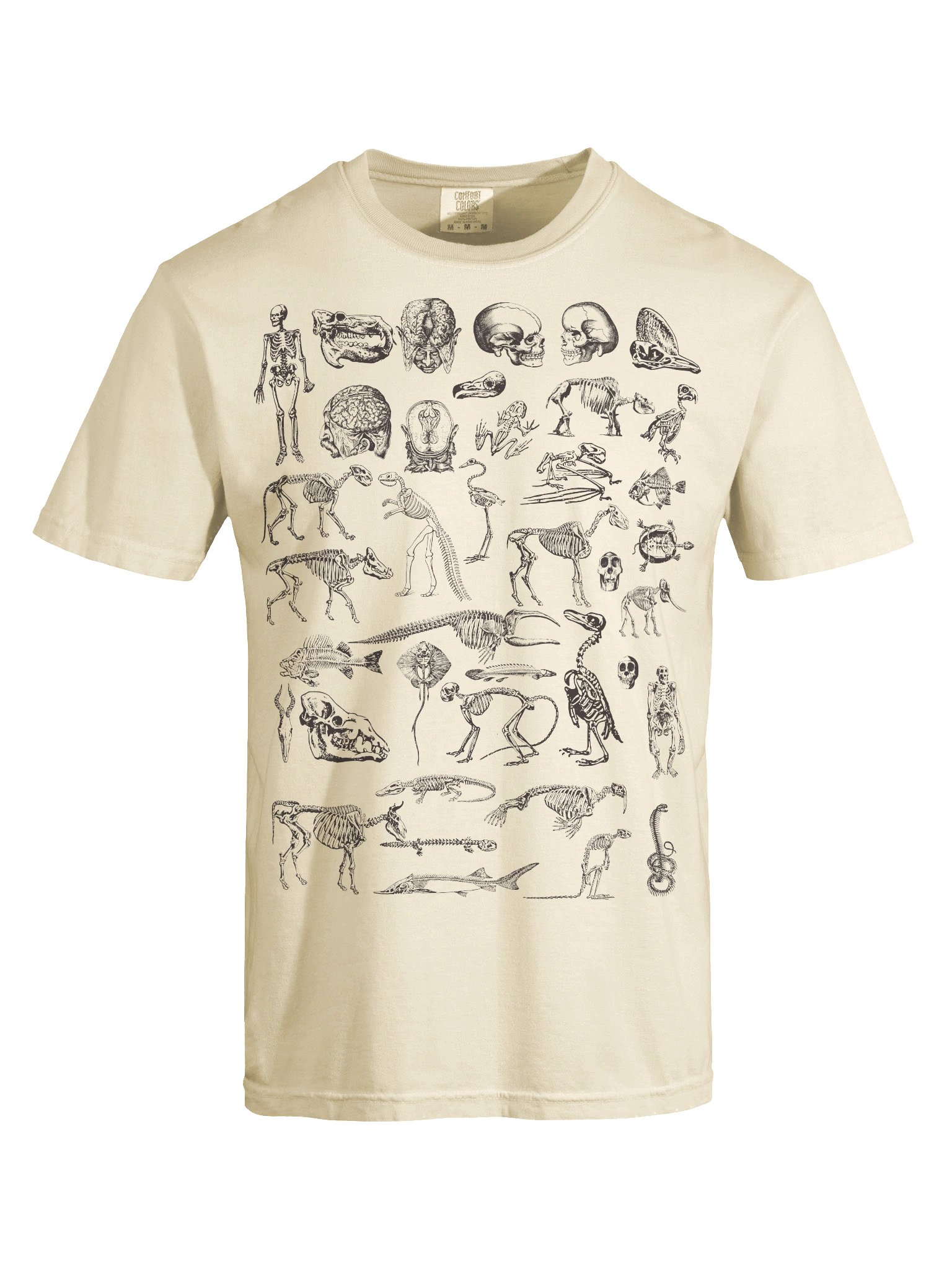 Dark Academia Skeletons Shirt – Vintage Anatomy Bones Illustration Graphic Tee product image (66)