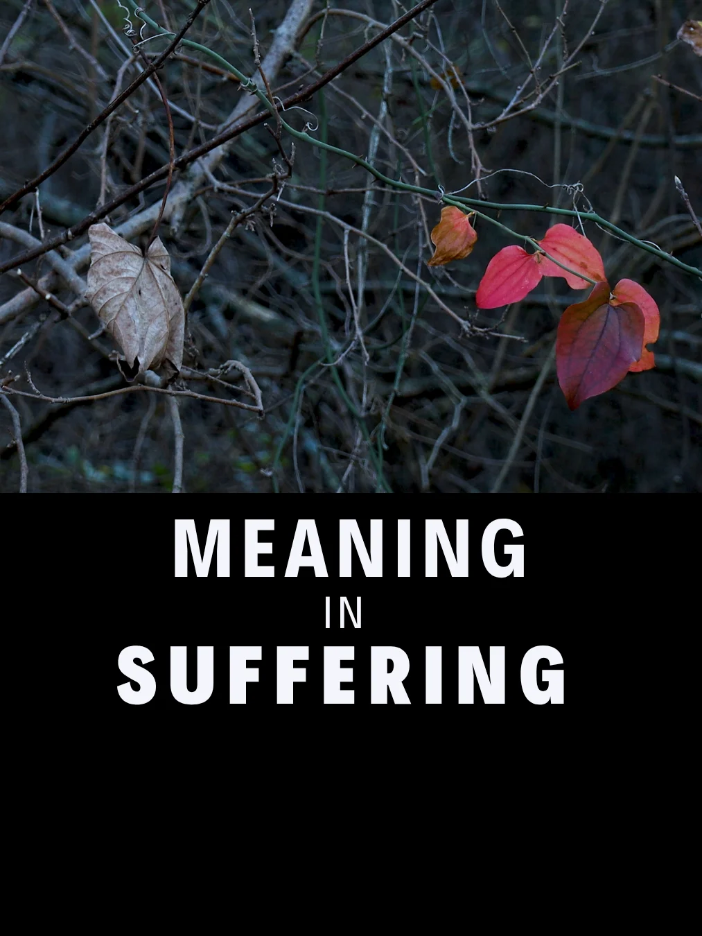 Meaning in Human Suffering (Course) product image (1)