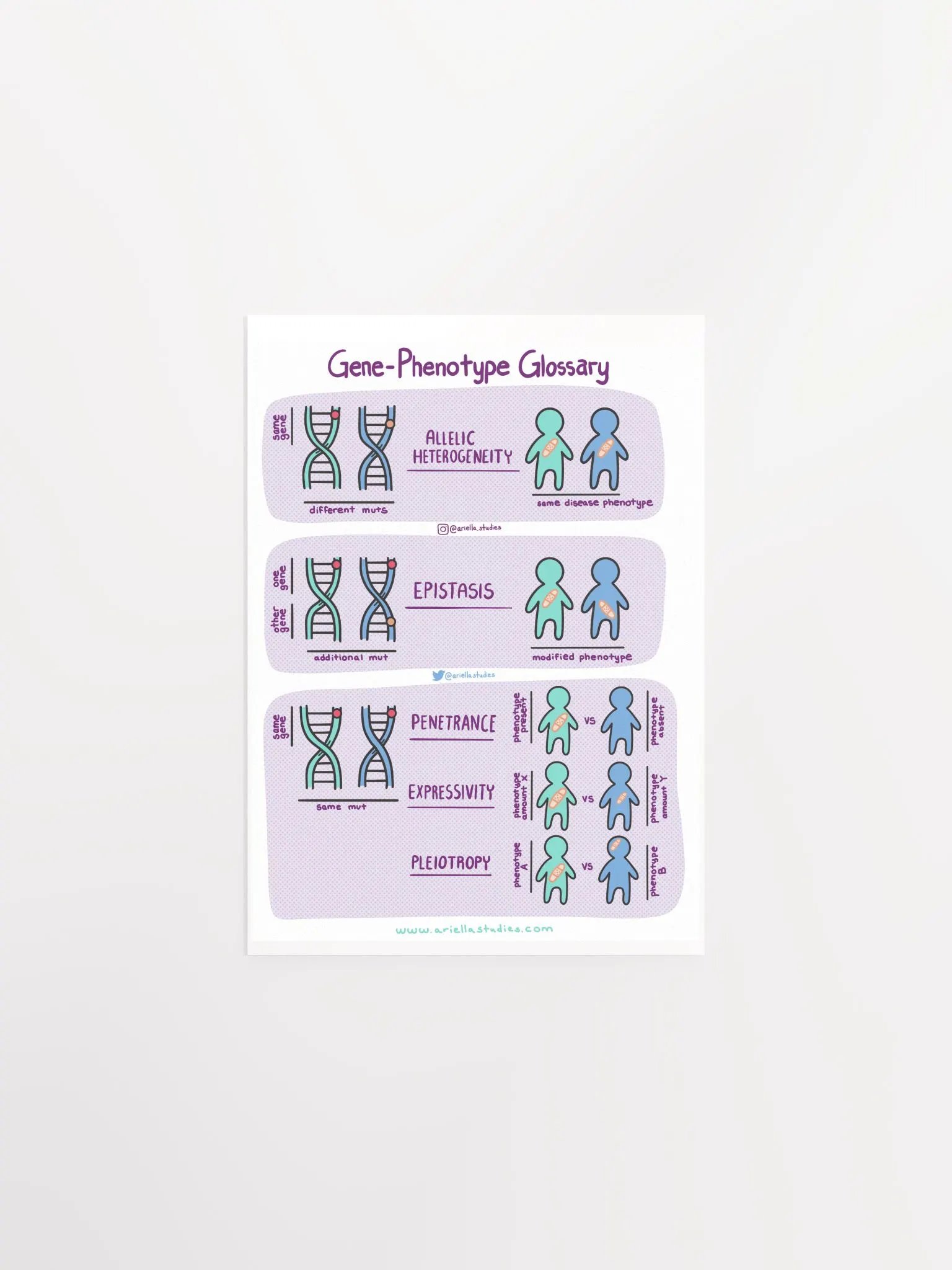 Gene-Phenotype Poster product image (1)