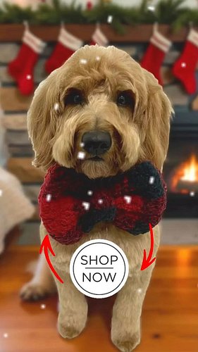 Thrilled to introduce the newest cozy must-have in my #Etsy shop: the Red Buffalo Check Pet Collar Bow! This oversized sherpa...