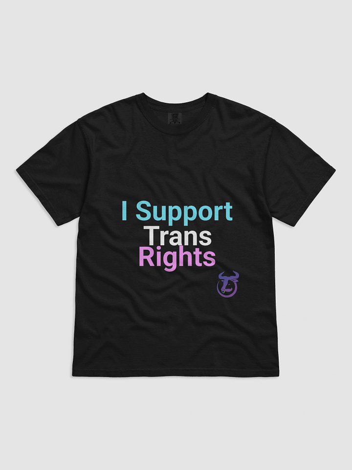 I Support Trans Rights T-Shirt product image (3)