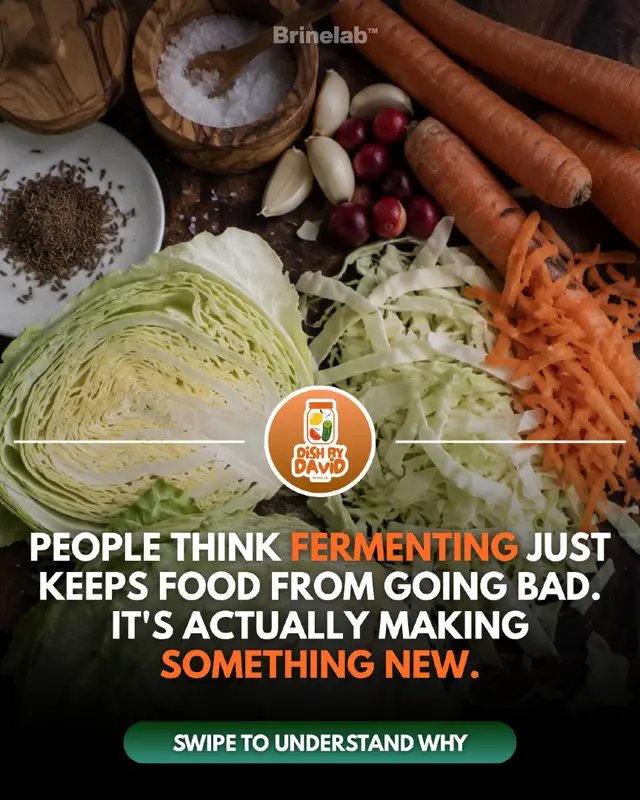 There's a big difference between keeping food fresh and turning it into something entirely new. Think about it. Cabbage becomes sauerkraut. Milk becomes yogurt. And grapes become wine. Same starting ingredients, but something completely different comes out. That's what makes fermentation so fascinating. It's not just about making food last longer. It's about what happens to the food along the way. Want to learn how to make your own fermented foods? Check out my complete fermentation guide through the LINK IN MY BIO.