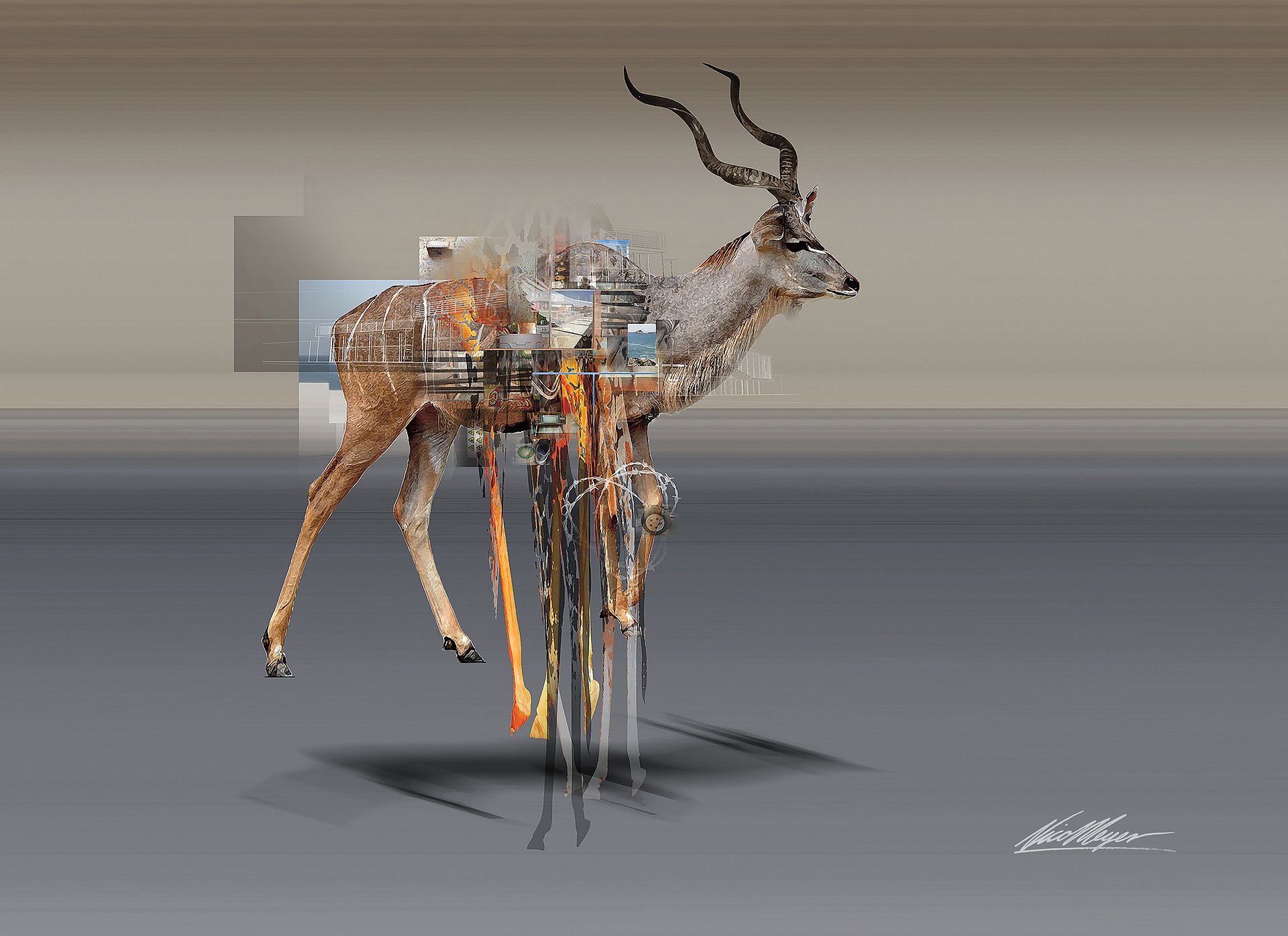 The Surveyor: Kudu Fine Art Canvas Print | 1:1.33 Ratio product image (2)