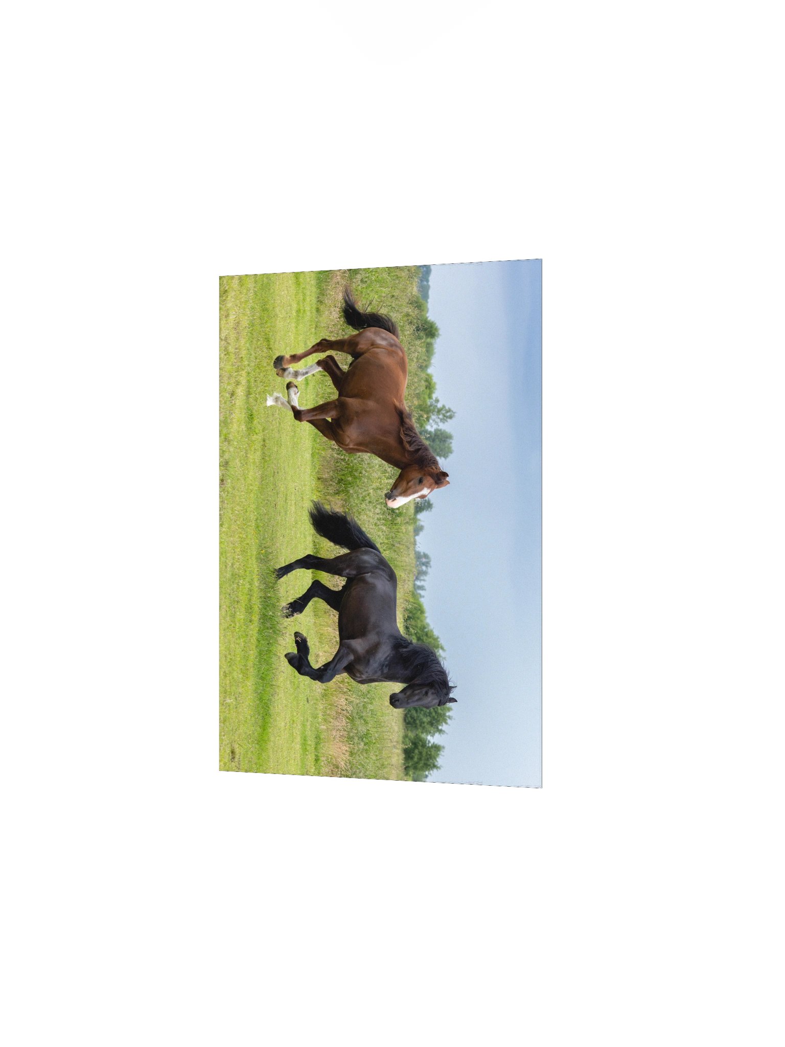 Friesian Horses Poster Prints product image (3)