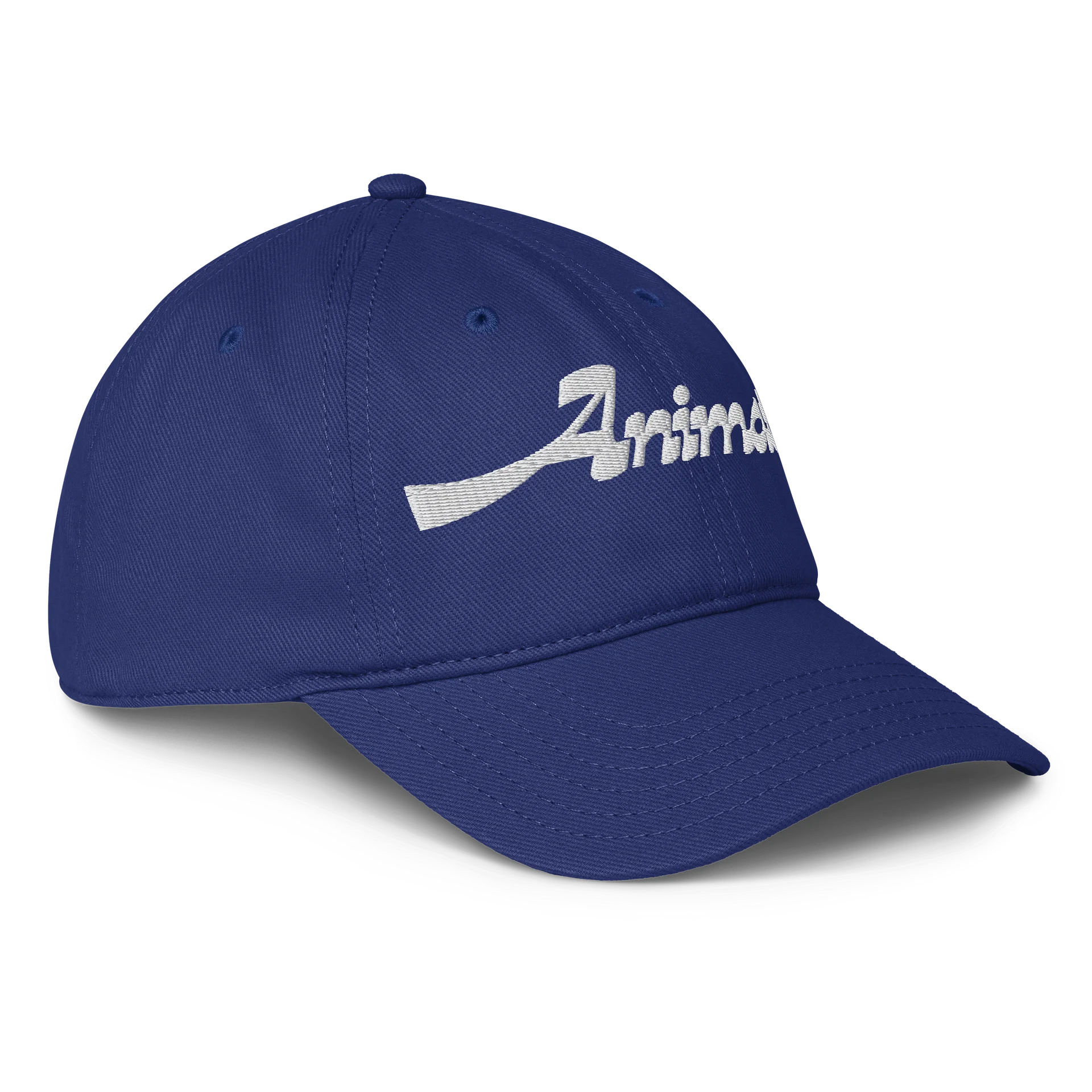 Animator Baseball Cap product image (3)