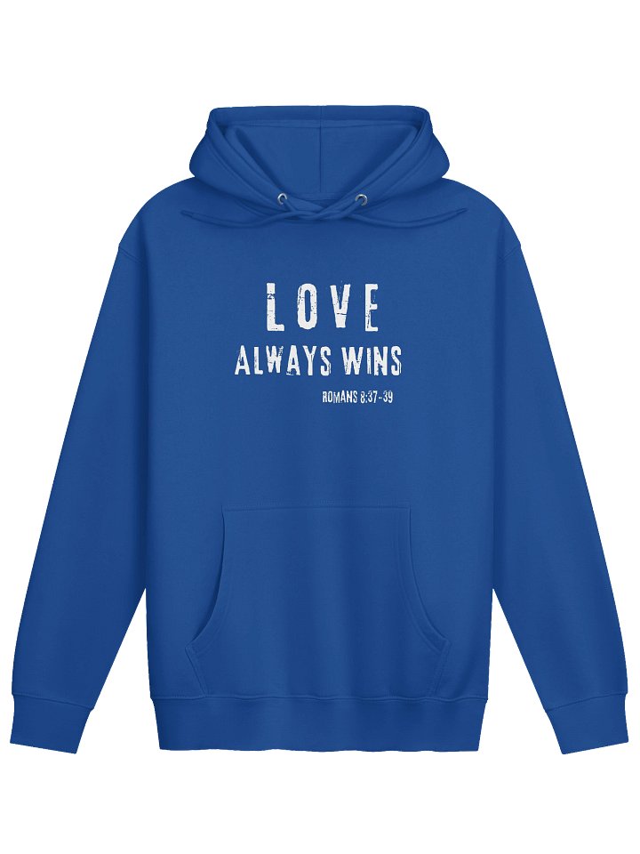 Love Always Wins Premium Hoodie product image (10)