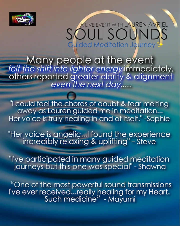 Reset & Flow Into Ease - Soul Sounds Meditation Journey product image (2)