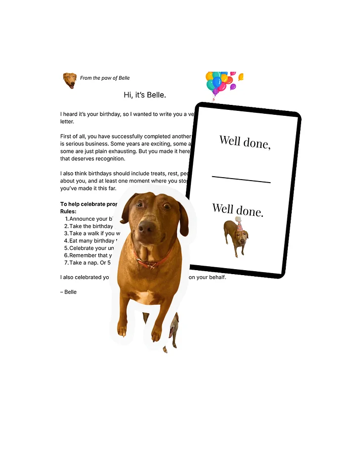 Belle Birthday Letter product image (1)