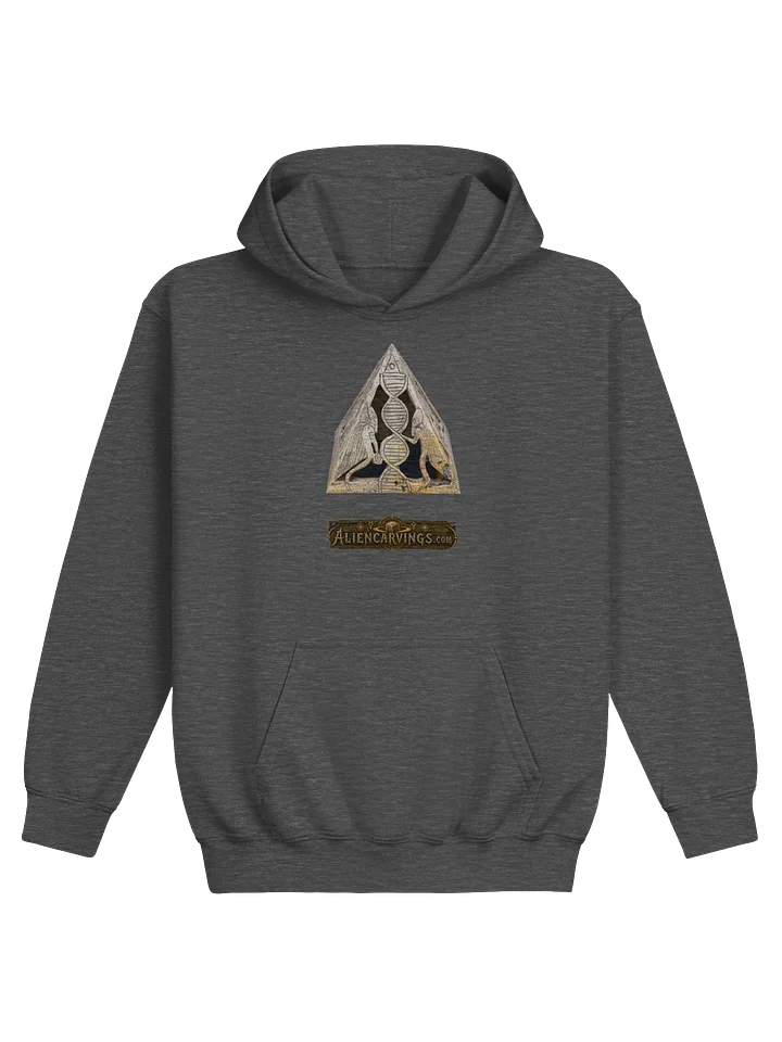 Aliencarvings.com DNA Djed Kids Hoodie product image (1)