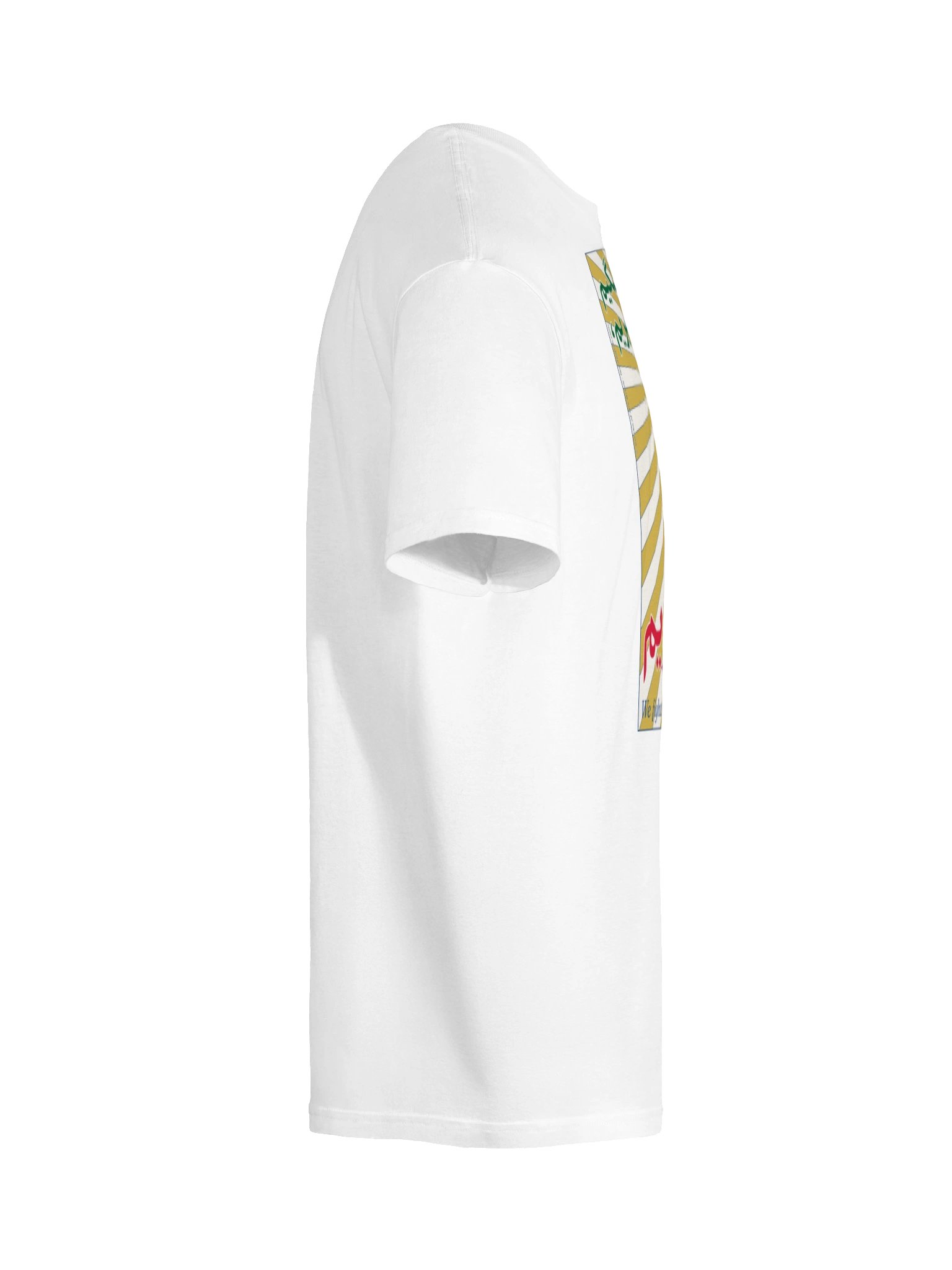 The Reclamation (Irân râ pas migirim) product image (18)
