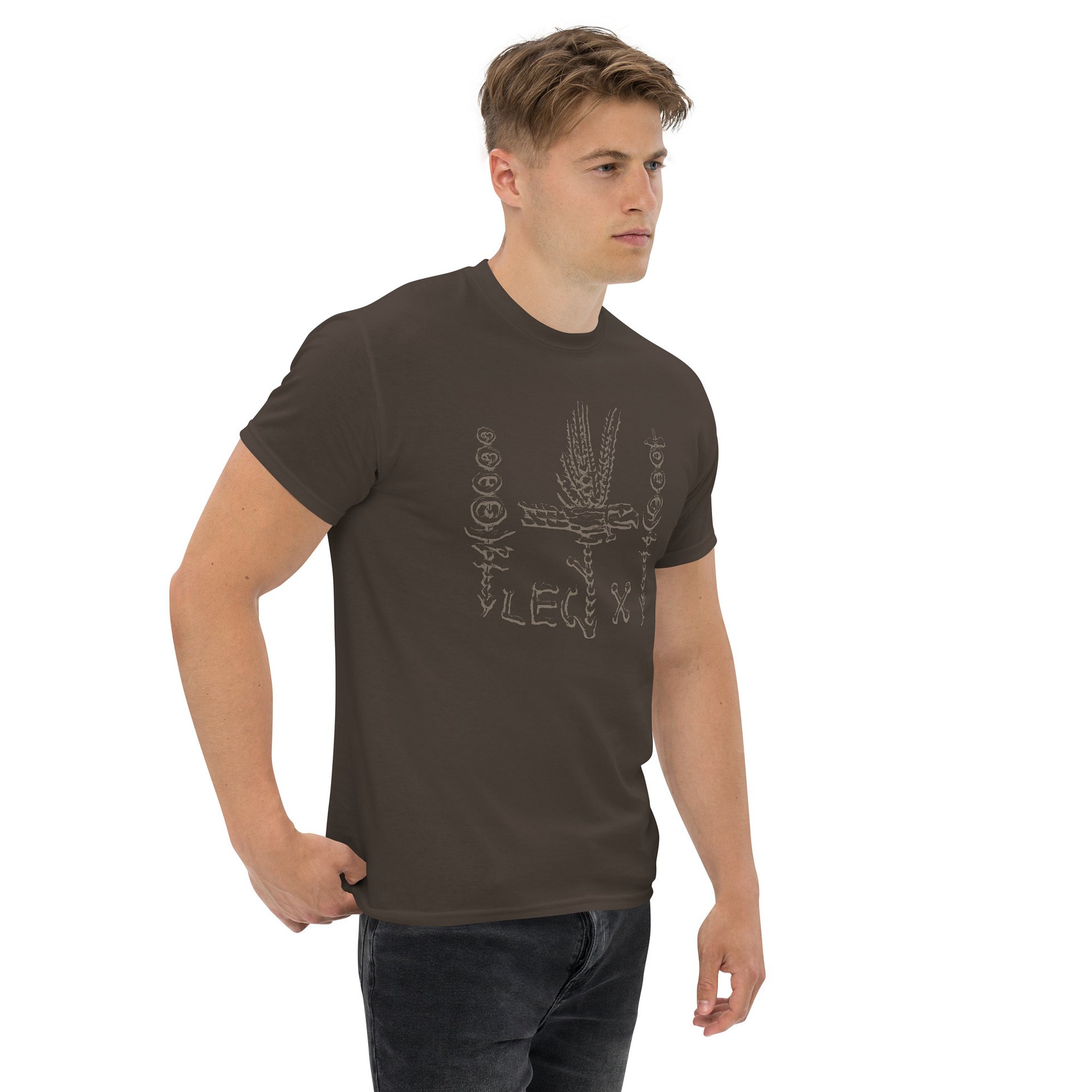 Legion X Legionary Standards Insignia Ancient Rome Art circa 31 BC, T-Shirt product image (12)
