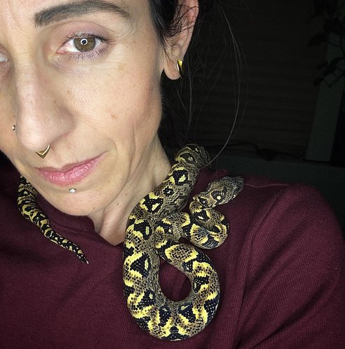 Me and my little bumblebee.🐝 🐍❤️
****
->Follow @snaketherapy_shiraloa and *SUBSCRIBE ON YOUTUBE* (@ Snake_Therapy) for more s...