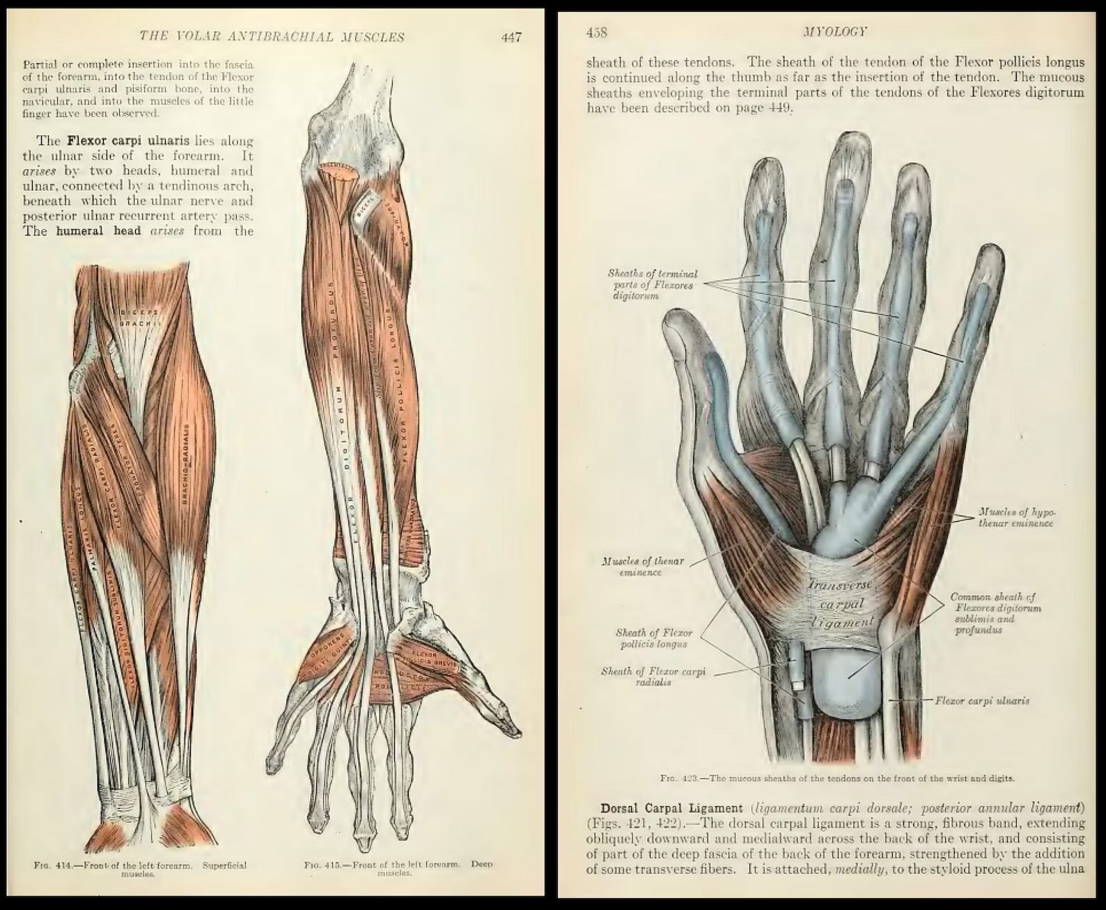 280 Rare Medical Books product image (6)