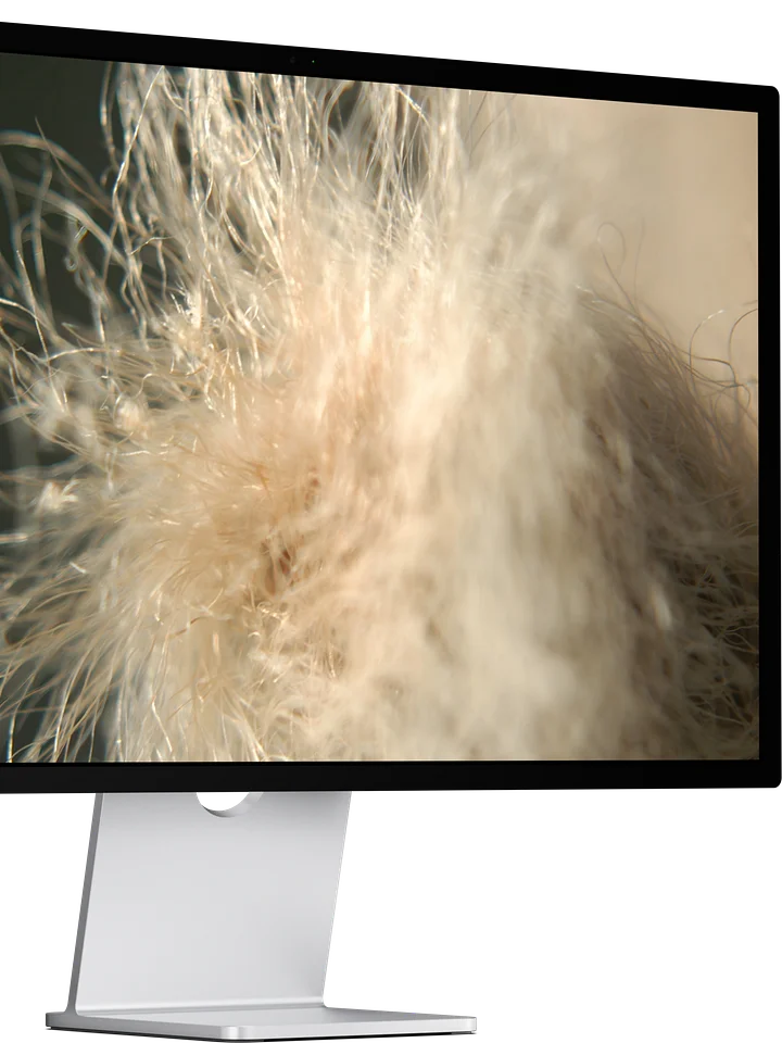fluff — desktop wallpaper | from "holding" | eza product image (1)