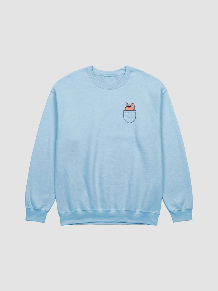 g_birb in my pocket sweatshirt! product image (1)