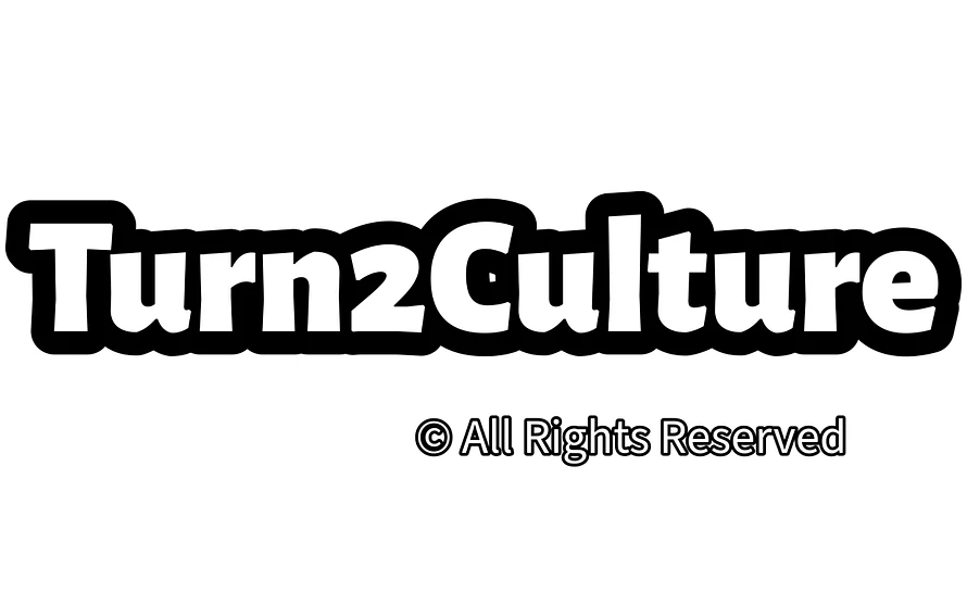 turn2culture.com