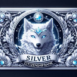 SILVER CITIZENSHIP RANK 