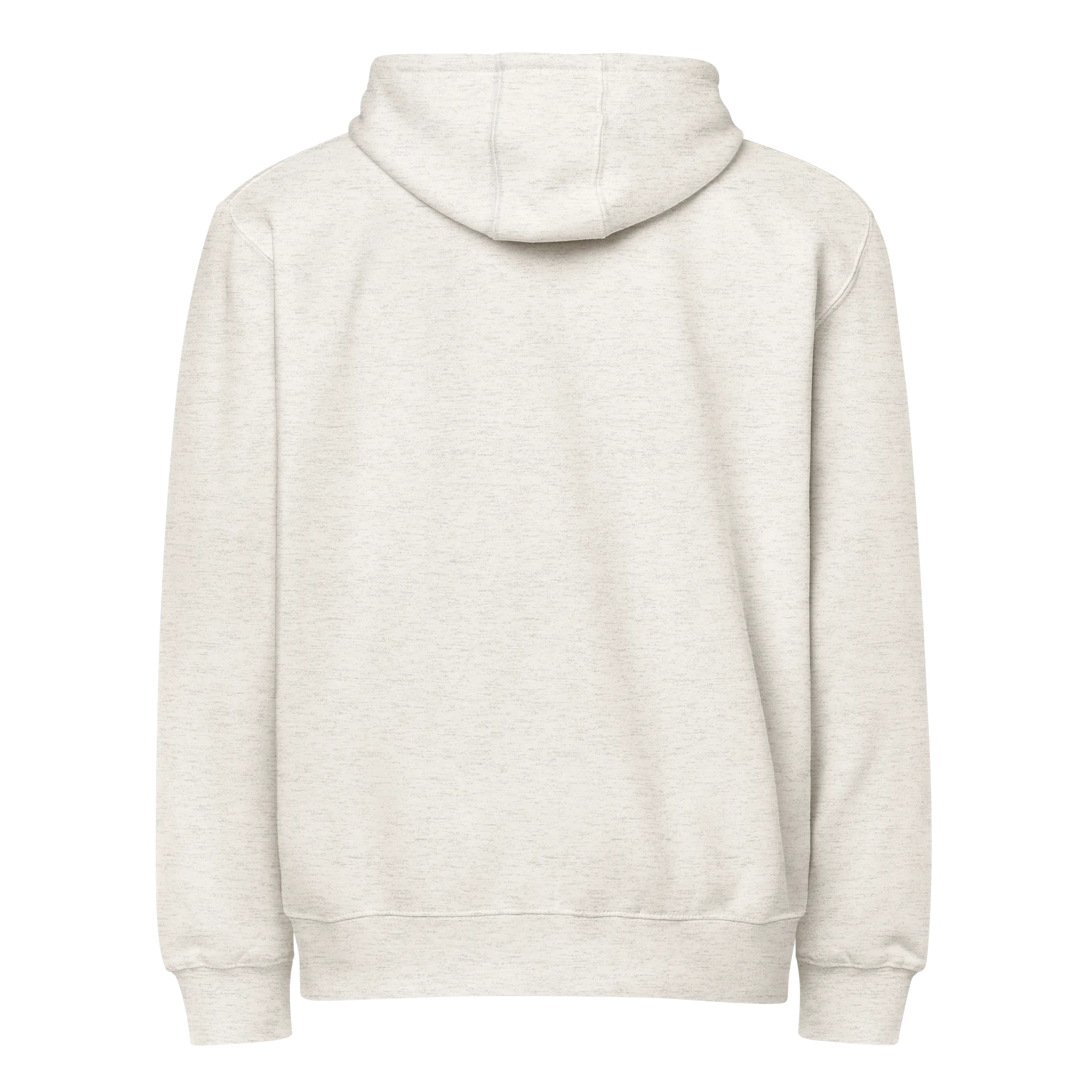 FBC Zip-Up Hoodie (LIGHTS) product image (8)