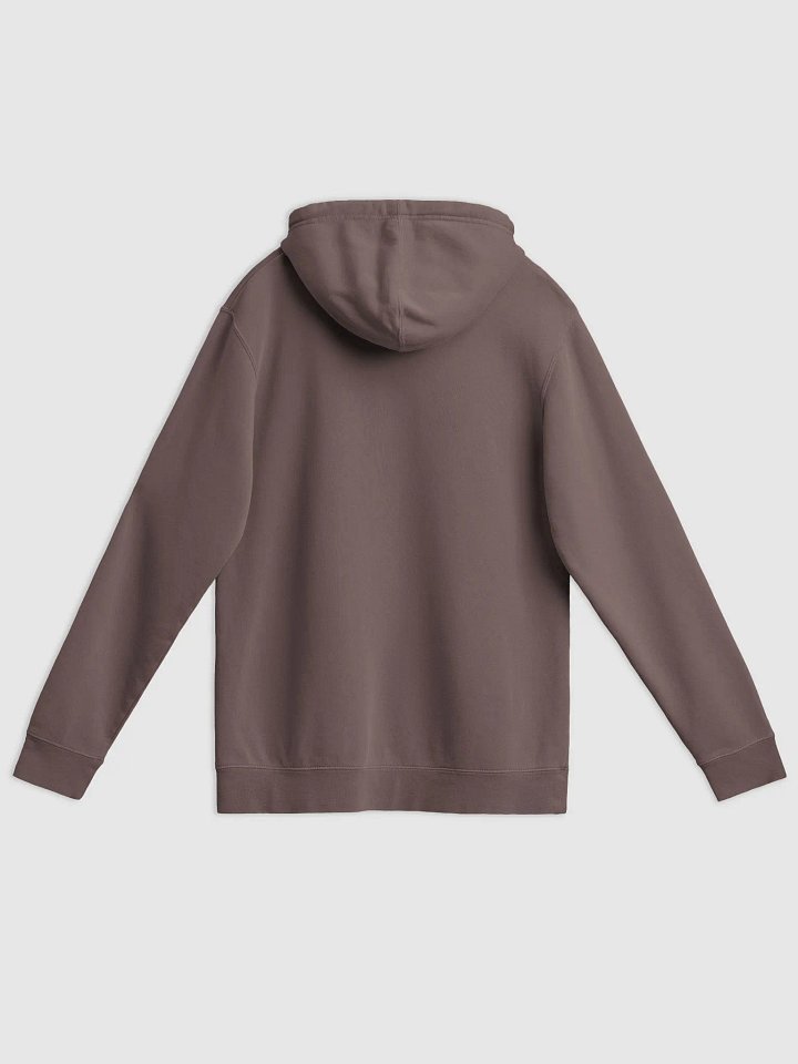 Bubbly and a B*tch (mauve shadow design) printed pigment hoodie product image (4)