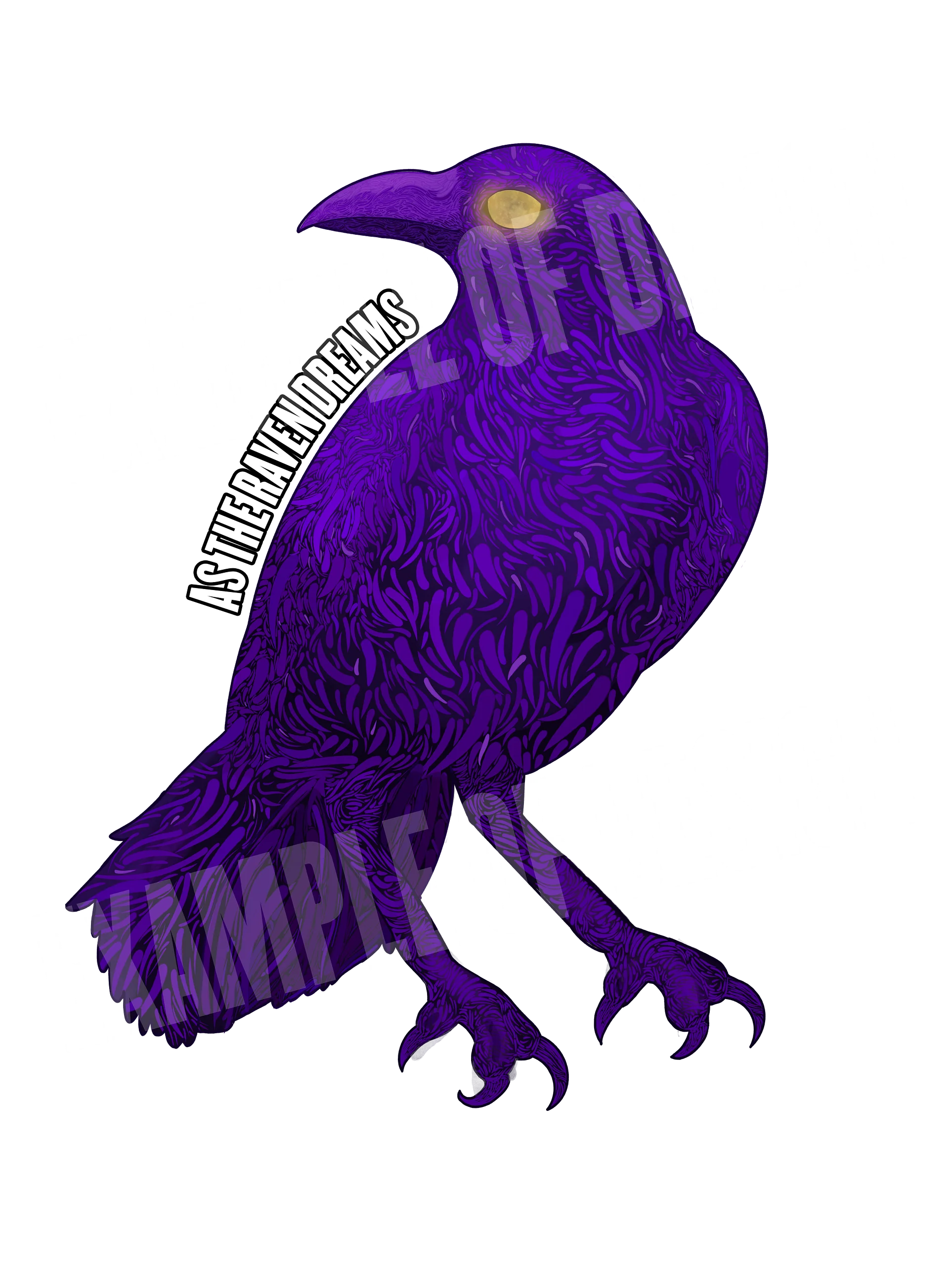 As The Raven Dreams - Andi's Raven product image (54)