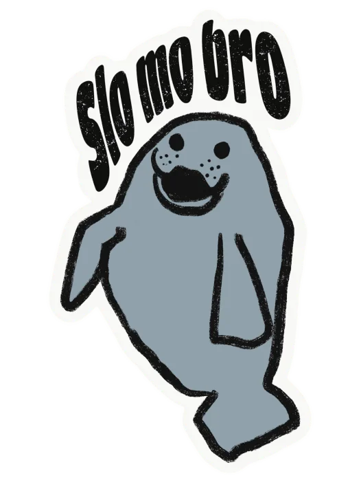 Slo-mo Bro Decal product image (1)