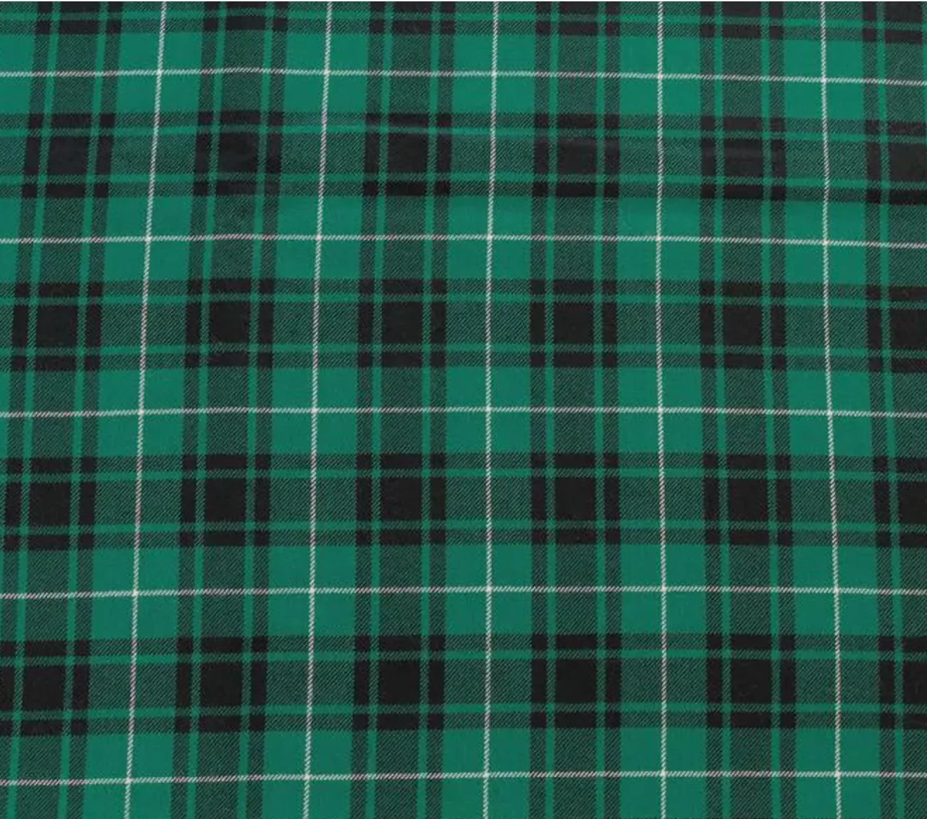 Emerald Plaid Dog Cape: Holiday Pet Accessories, Dog Christmas Outfit, Green Tartan Pet Robe product image (3)