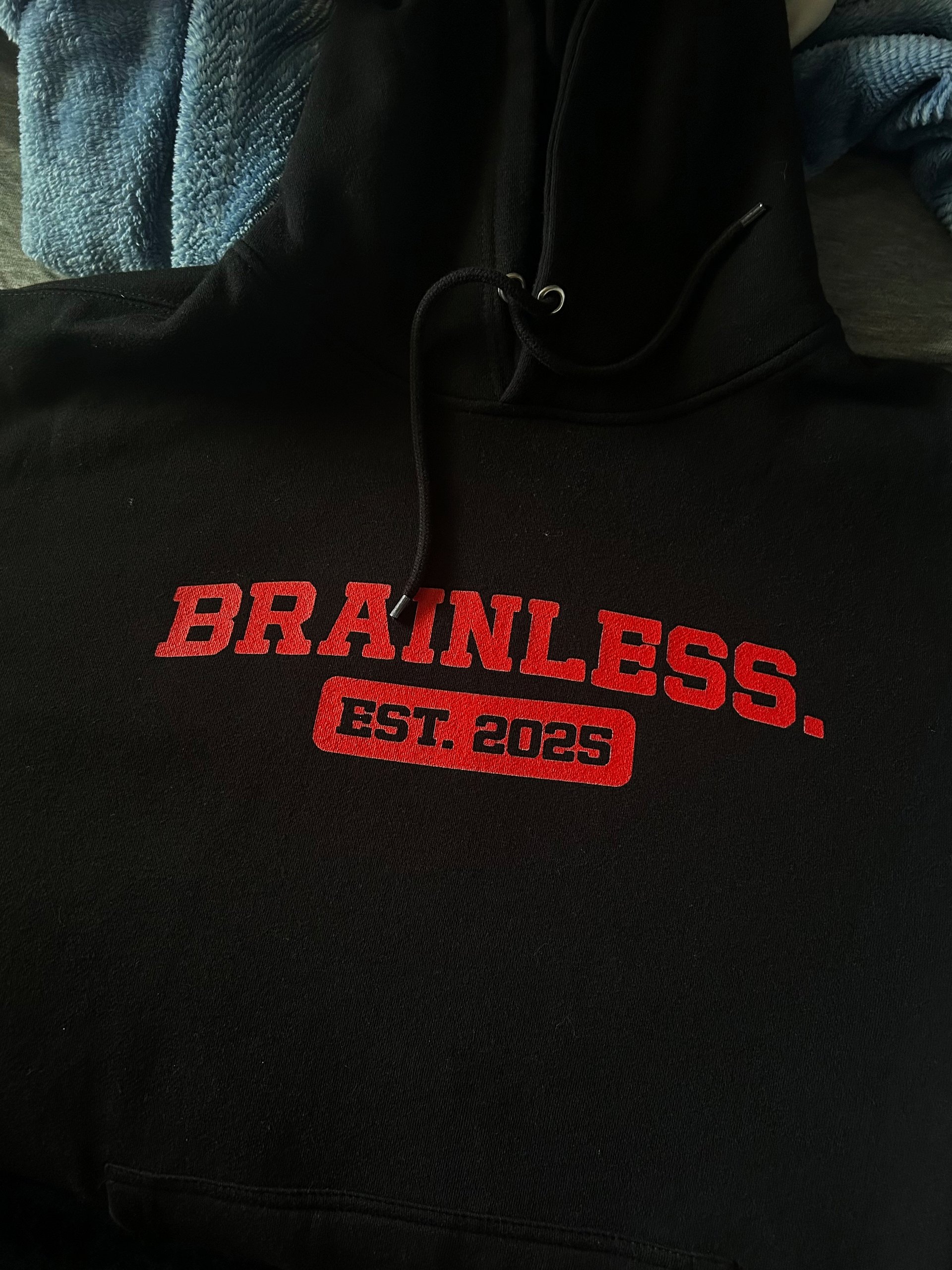 Brainless. Collegiate Hoodie product image (5)