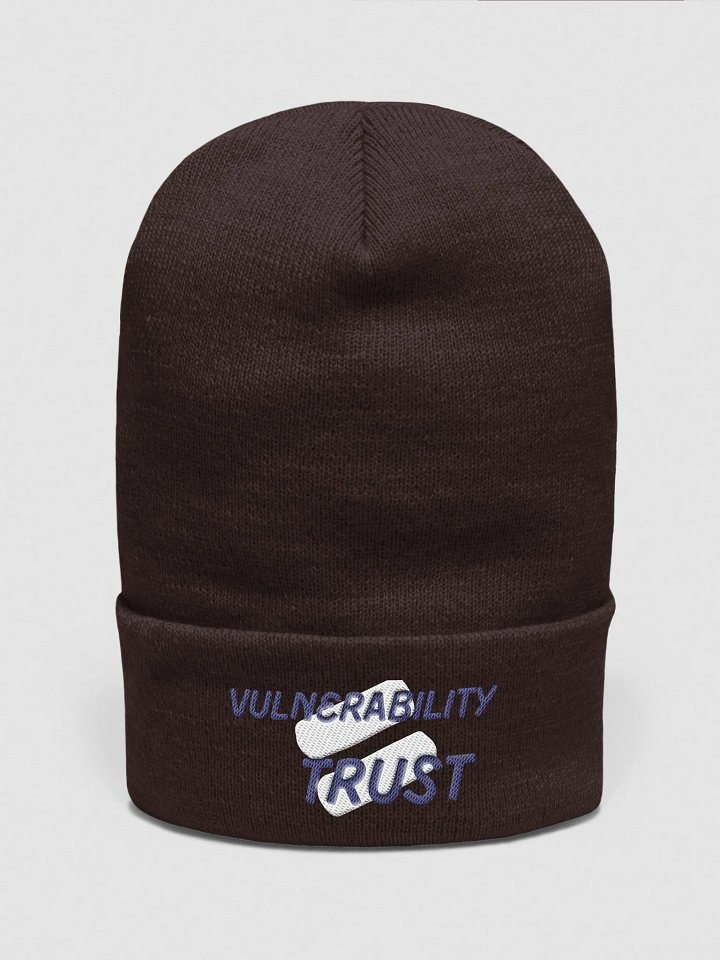 Vulnerability Skullee product image (4)