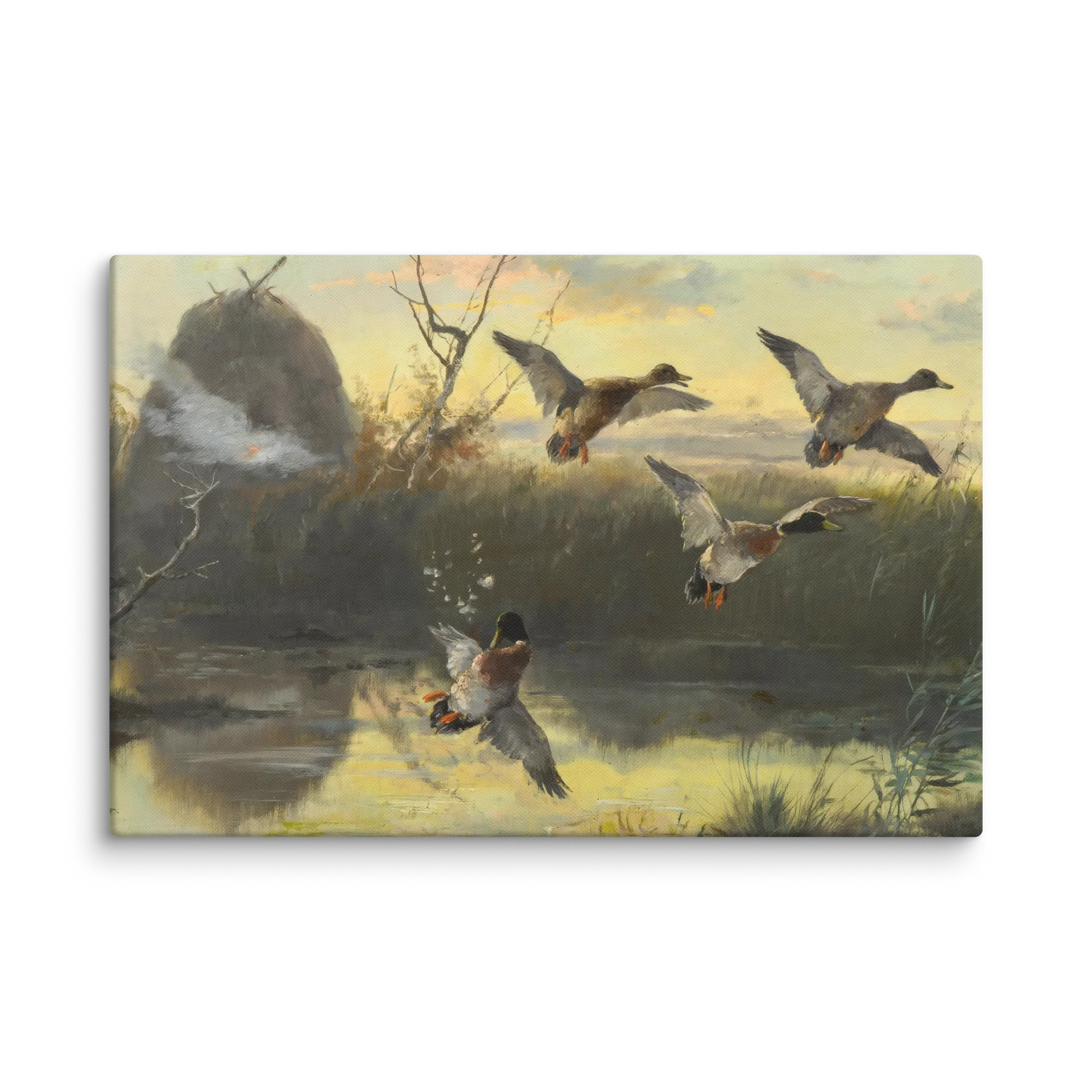 Antique Duck Shooting Canvas Print product image (1)