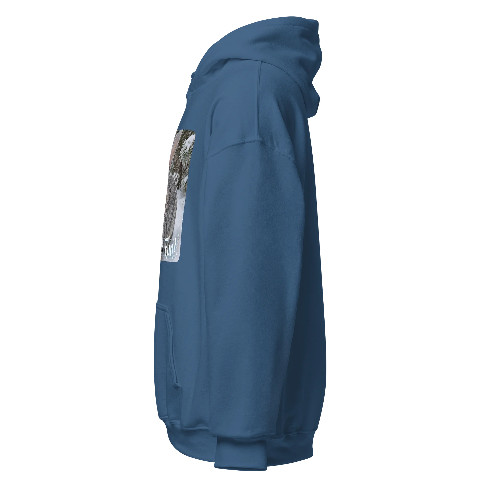 Snow Much Fun Rabbit Hoodie product image (3)
