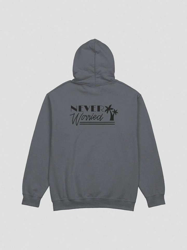 Never Worried Gildan Hoodie product image (9)