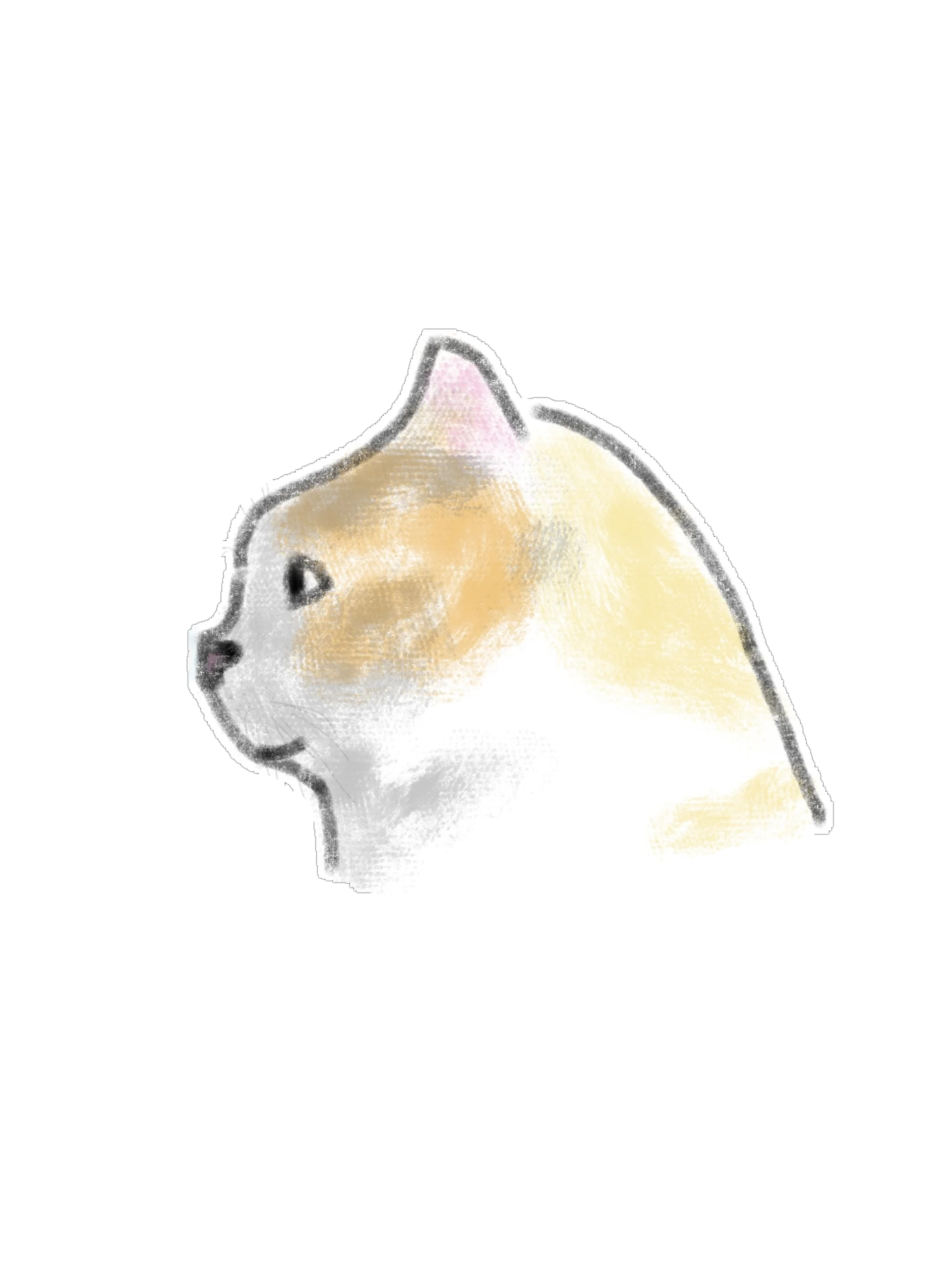 15 Cute Hand-Drawn Cat PNG Clipart Bundle product image (11)