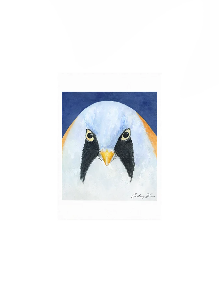 Bearded reedling print product image (1)