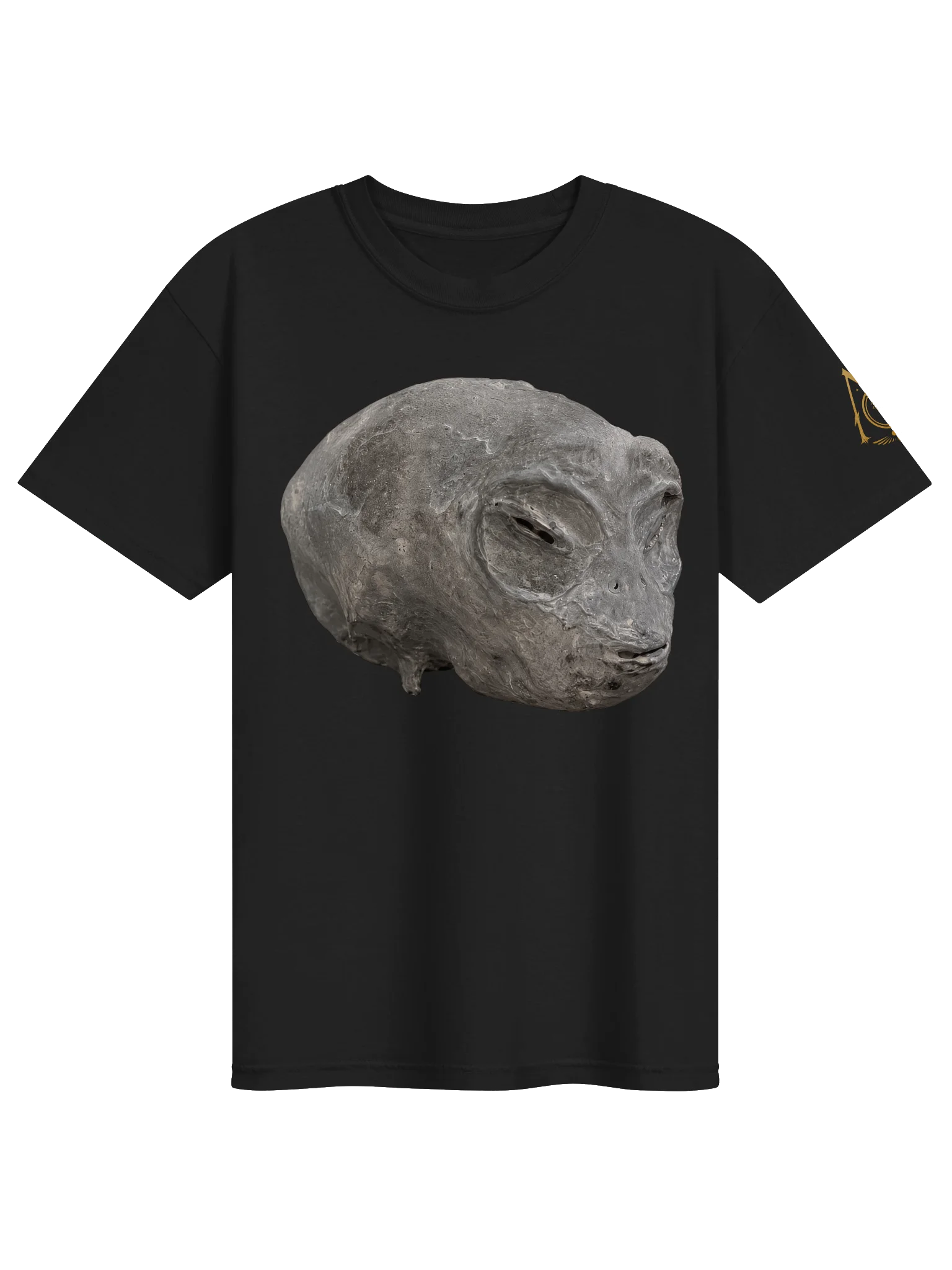Cleaned Nazca Head Premium T-Shirt product image (1)