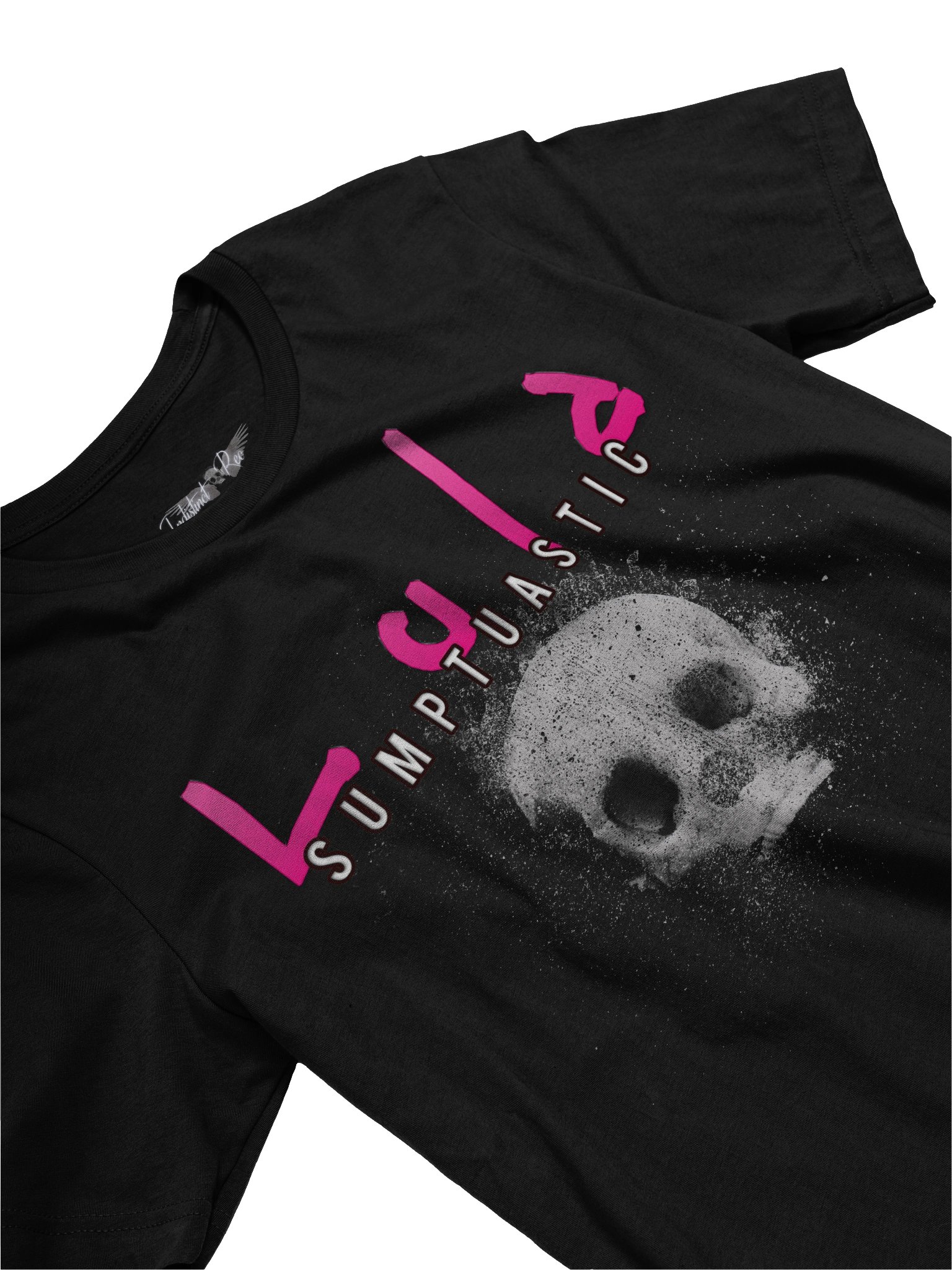 Indistinct Rec Skull Wings Tee product image (3)