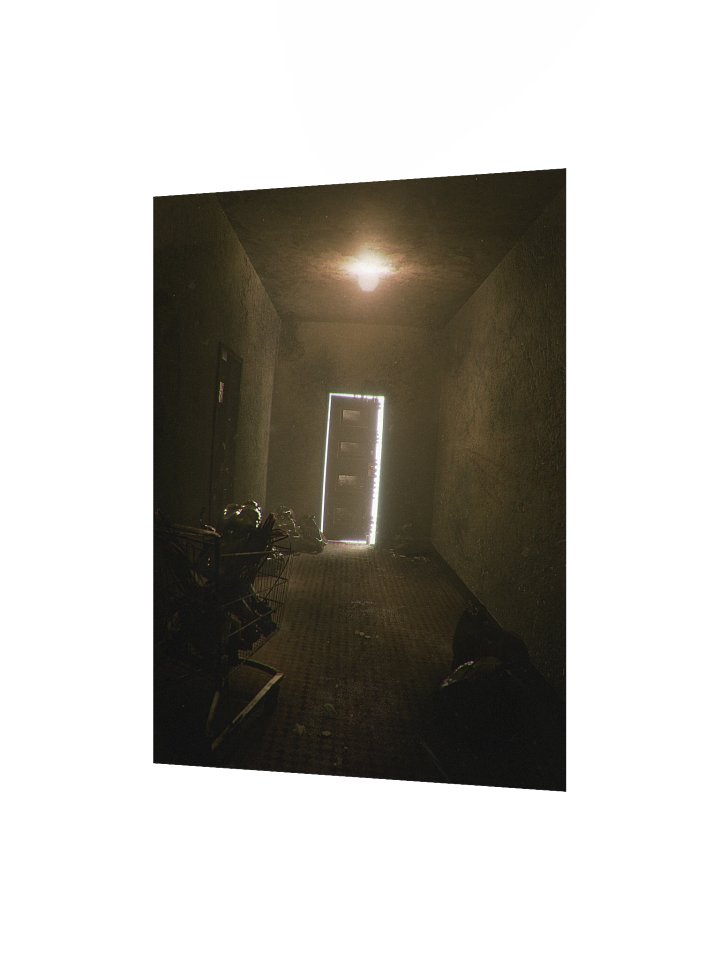 The door at the end of the hall product image (2)
