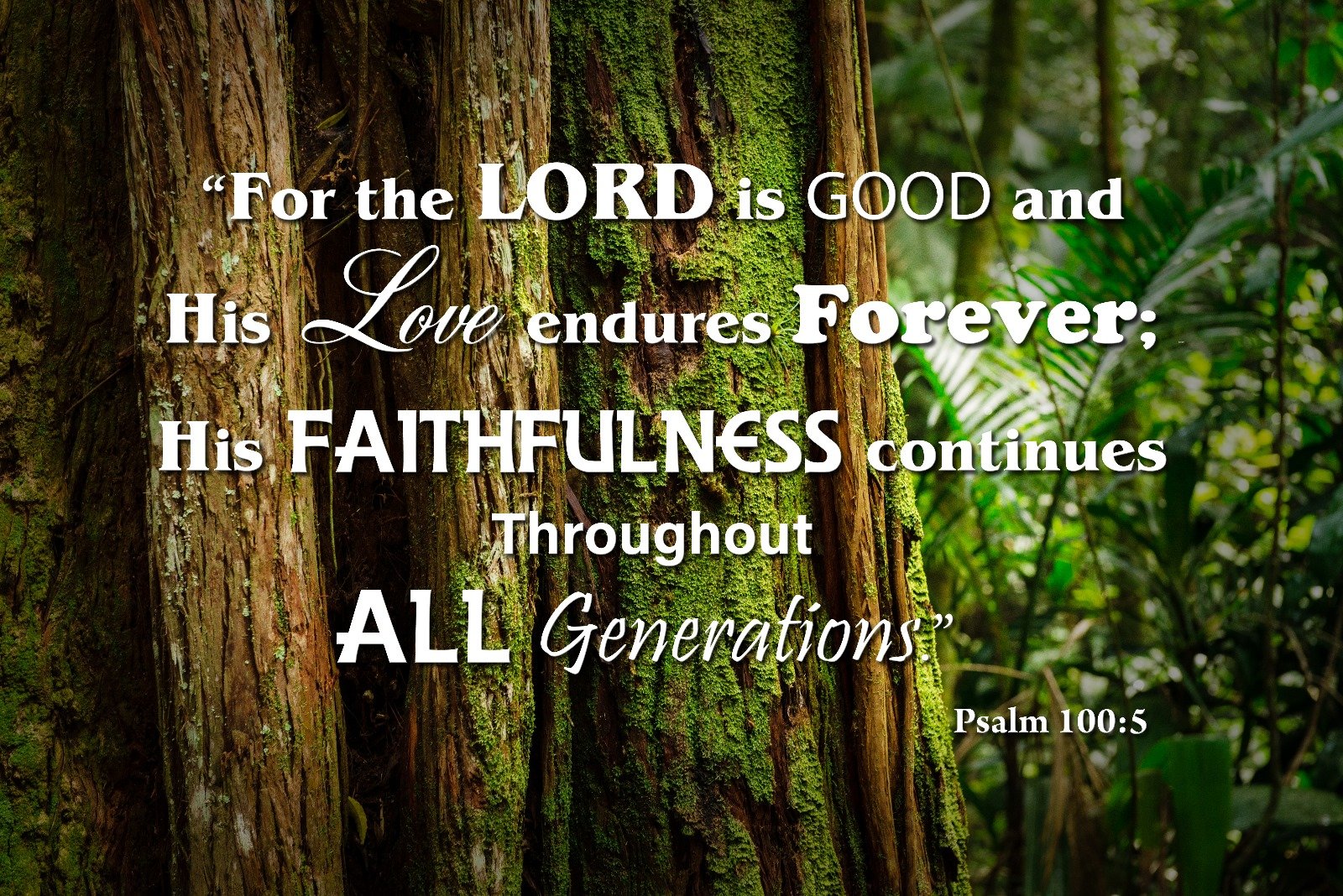 Psalm 100:5 The Lord is Good Canvas Art product image (3)