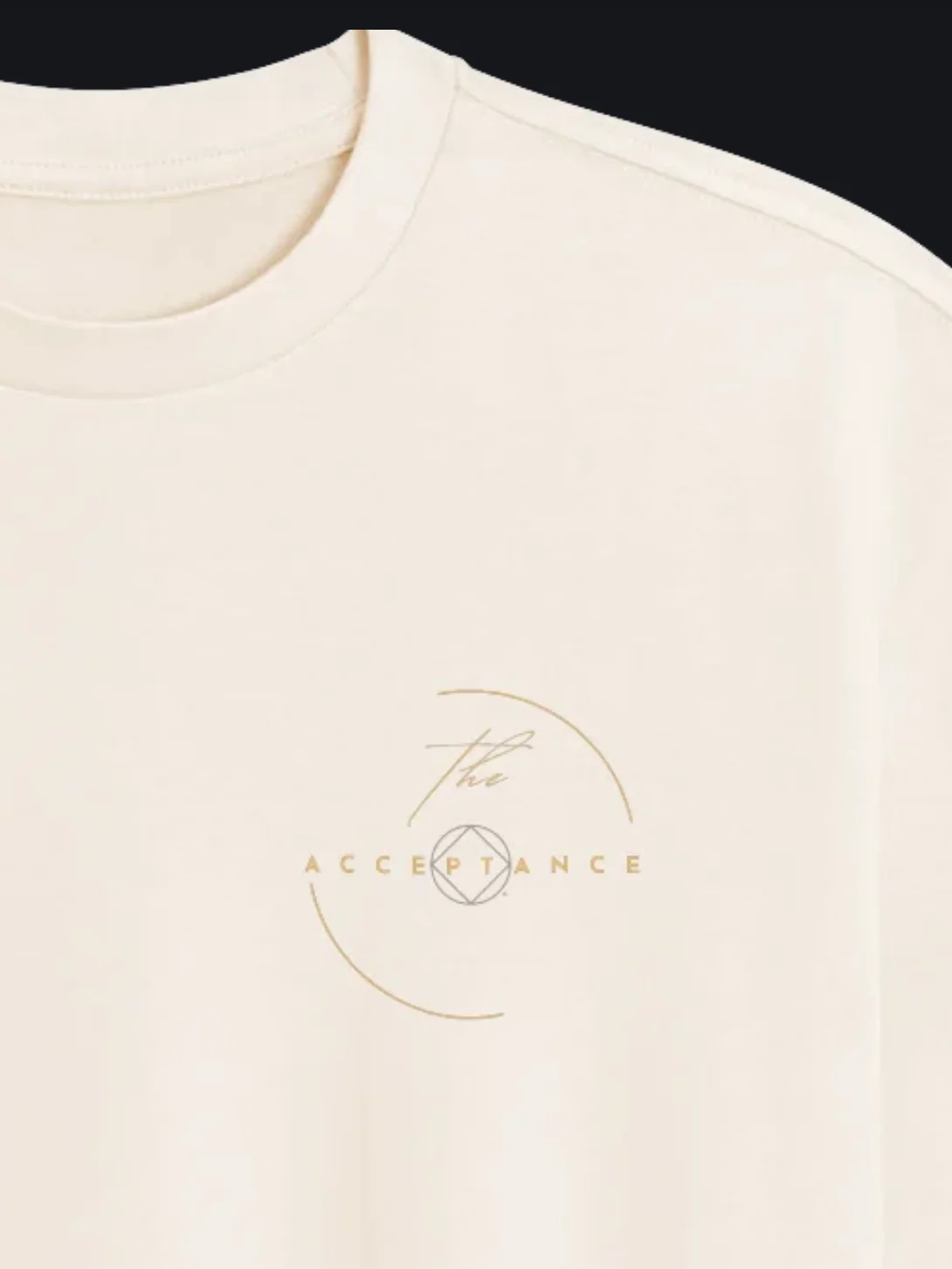 The Acceptance Oversized Box Tee product image (2)