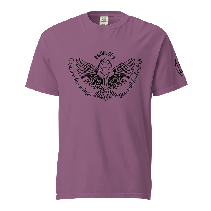 Biblical Tshirt God wings product image (1)