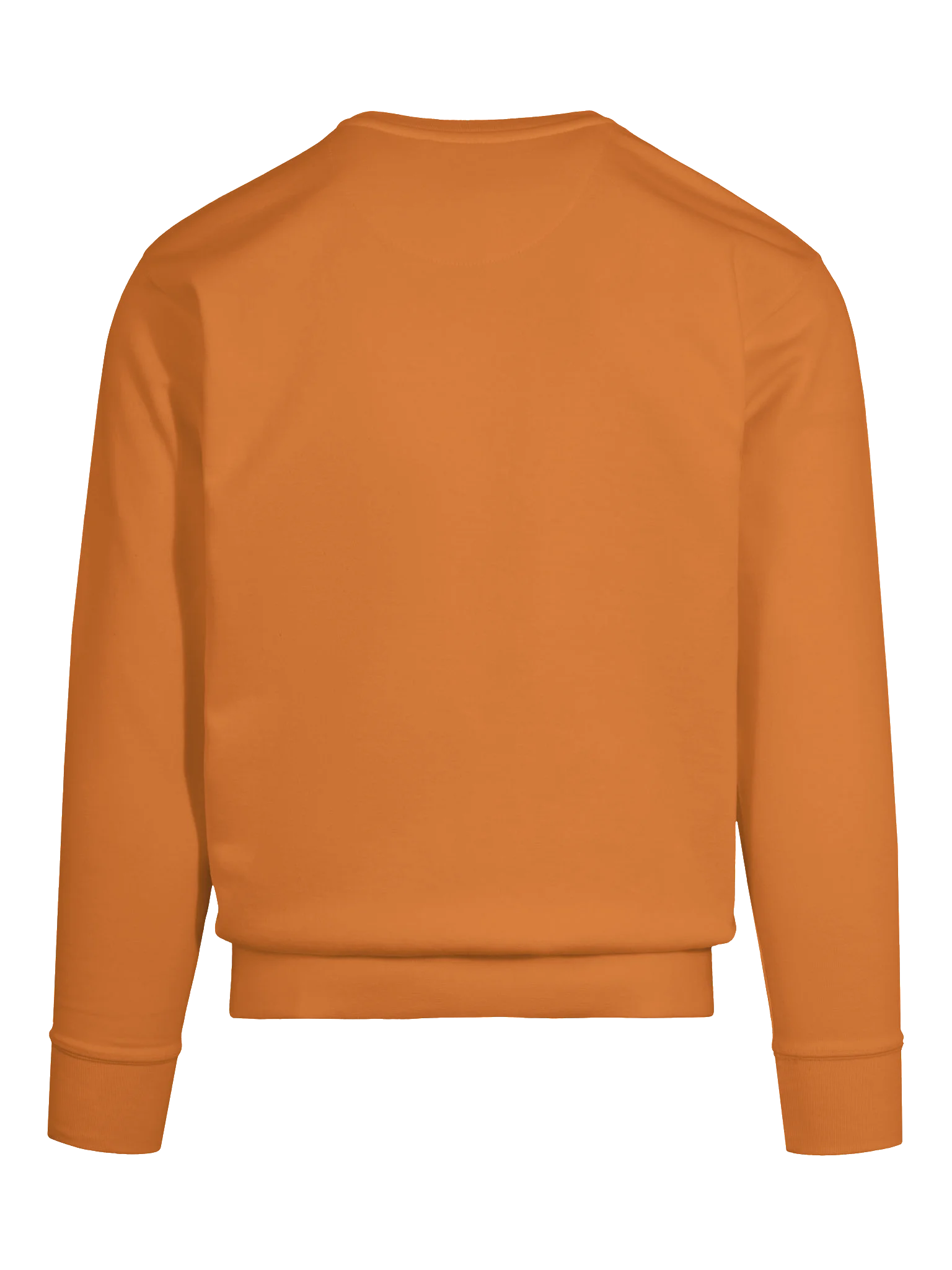 Chatty Acorn Premium Sweatshirt | Cozy Chatty Fall Collection product image (6)