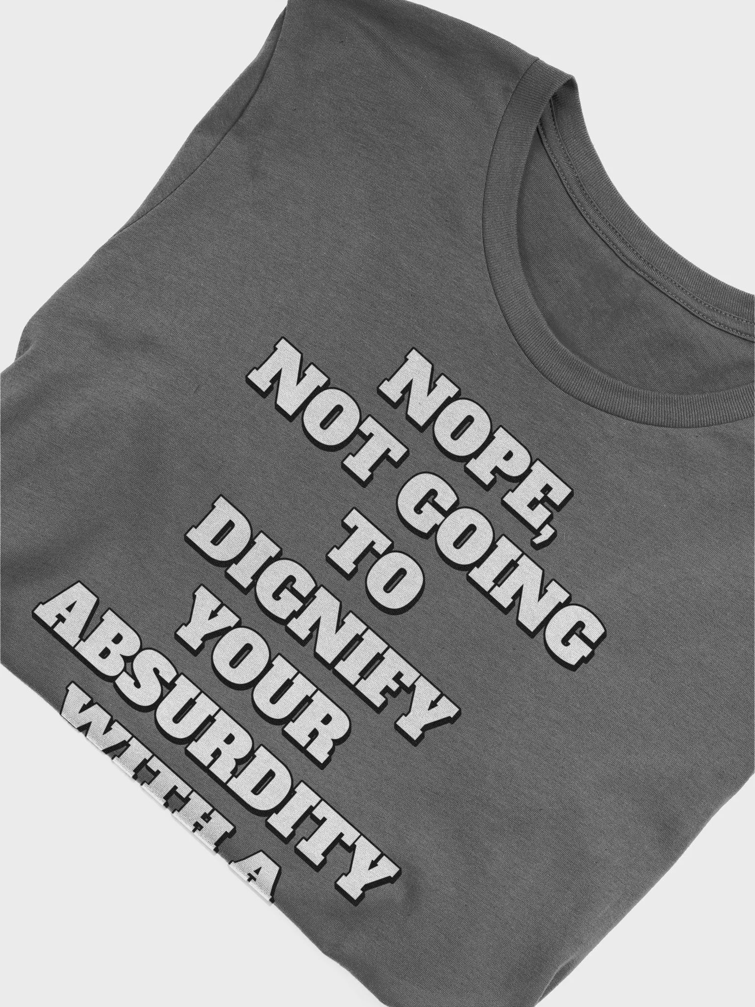 Nope, Not Going To Diginfy Your Absurdity With A Response T-shirt product image (34)