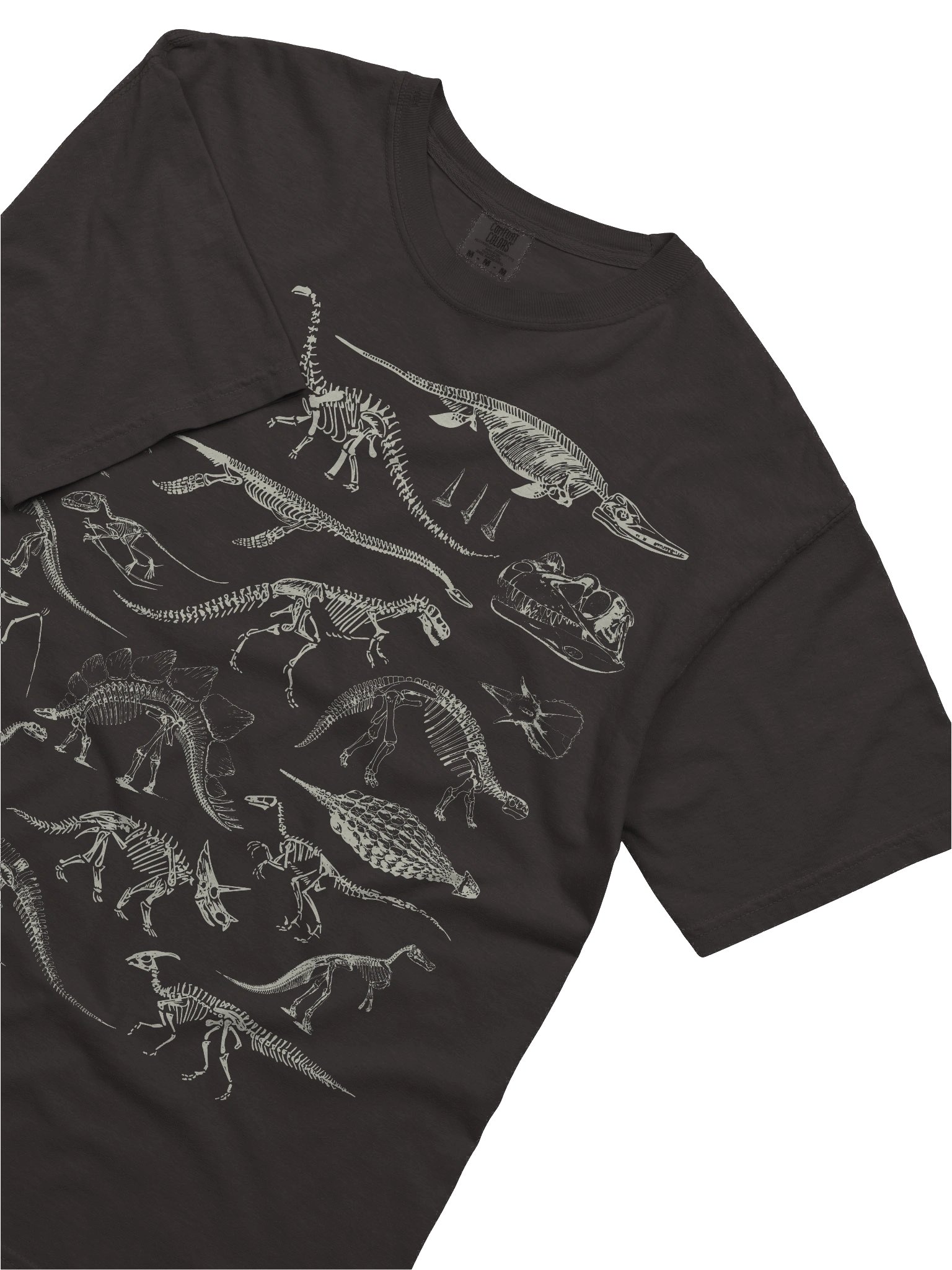 Dark Academia Dinosaur Skeleton Shirt – Vintage Fossil Bones Off-White Graphic Tee product image (22)