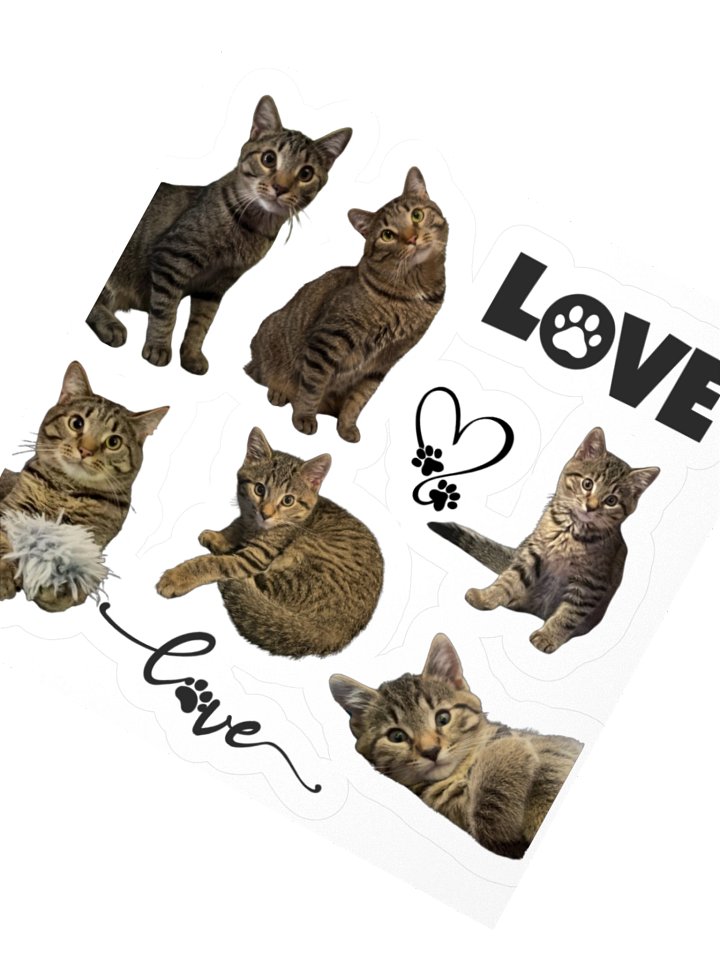 Typo the Brown Tabby Stickers product image (2)