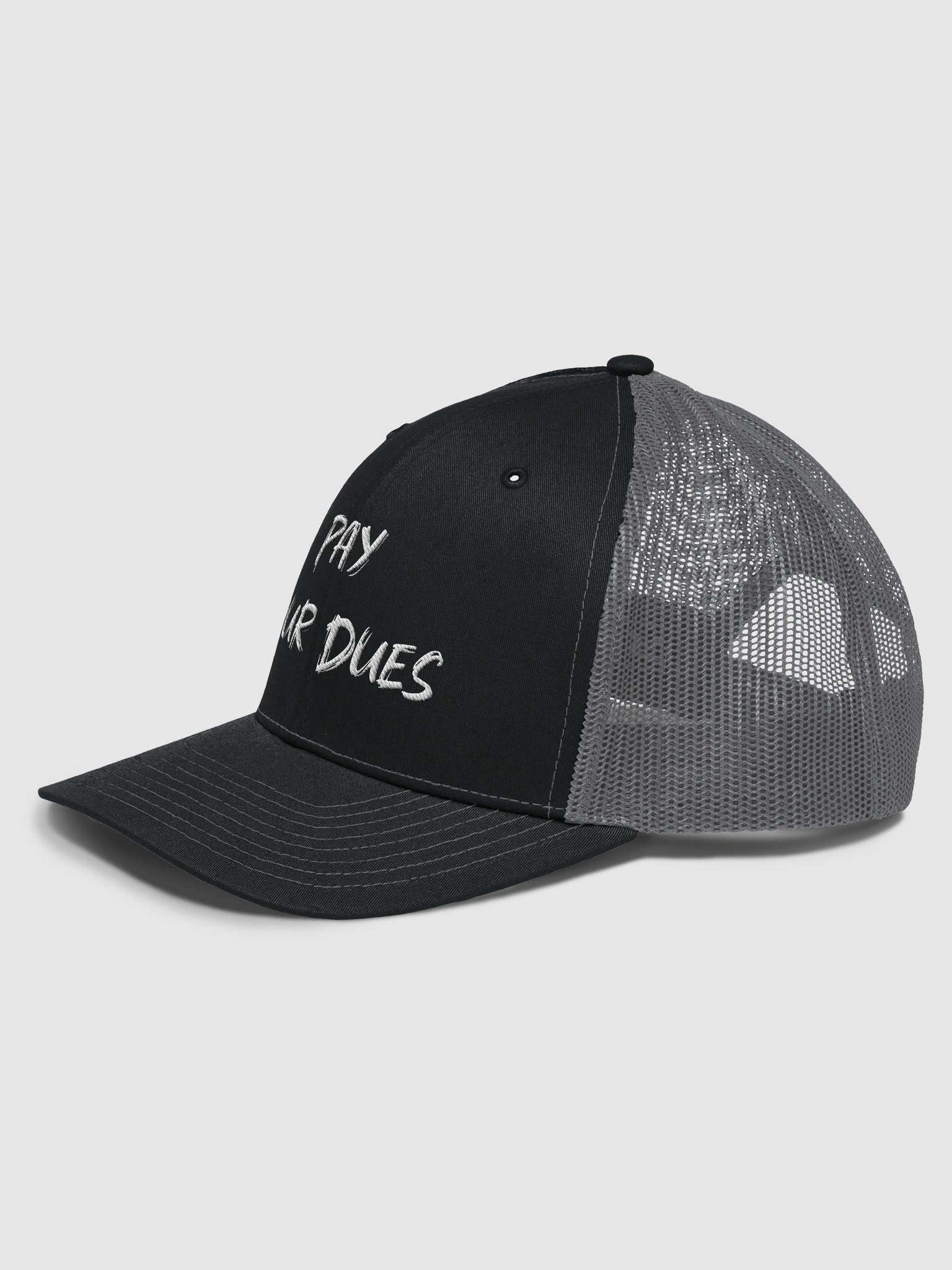 Pay your Dues Trucker hat product image (2)