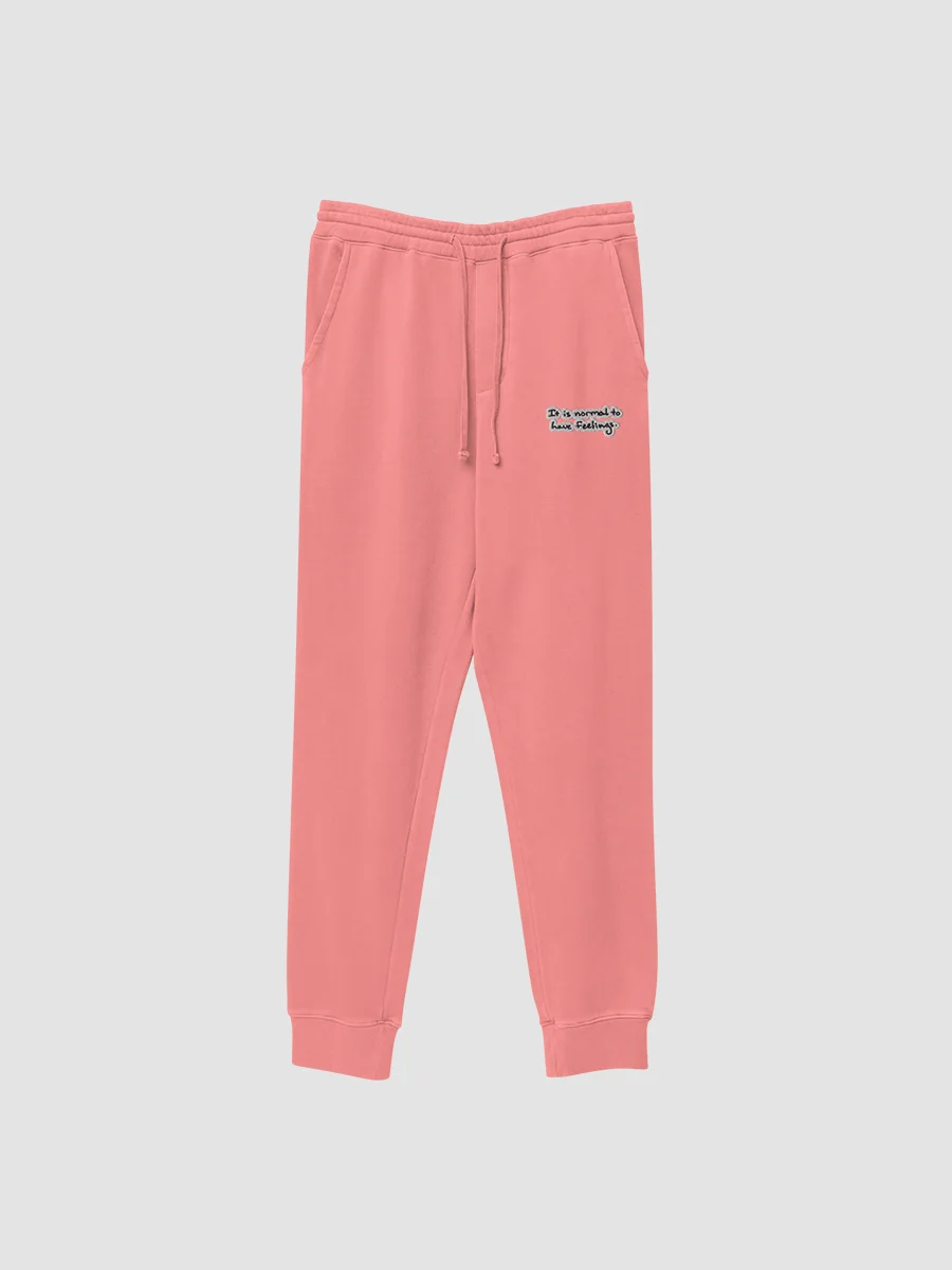It is normal to have feelings. embroidered pigment sweatpants (bubble design) product image (3)