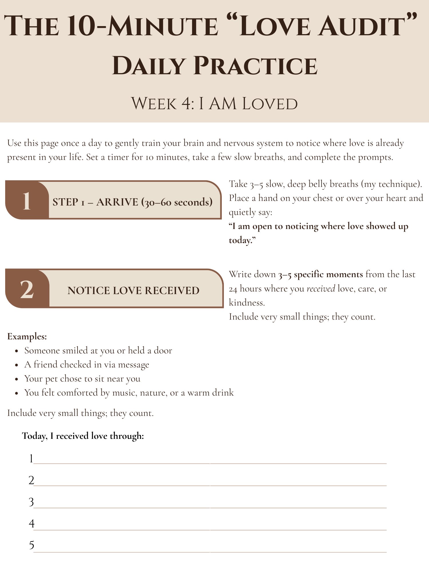 Love Audit product image (1)